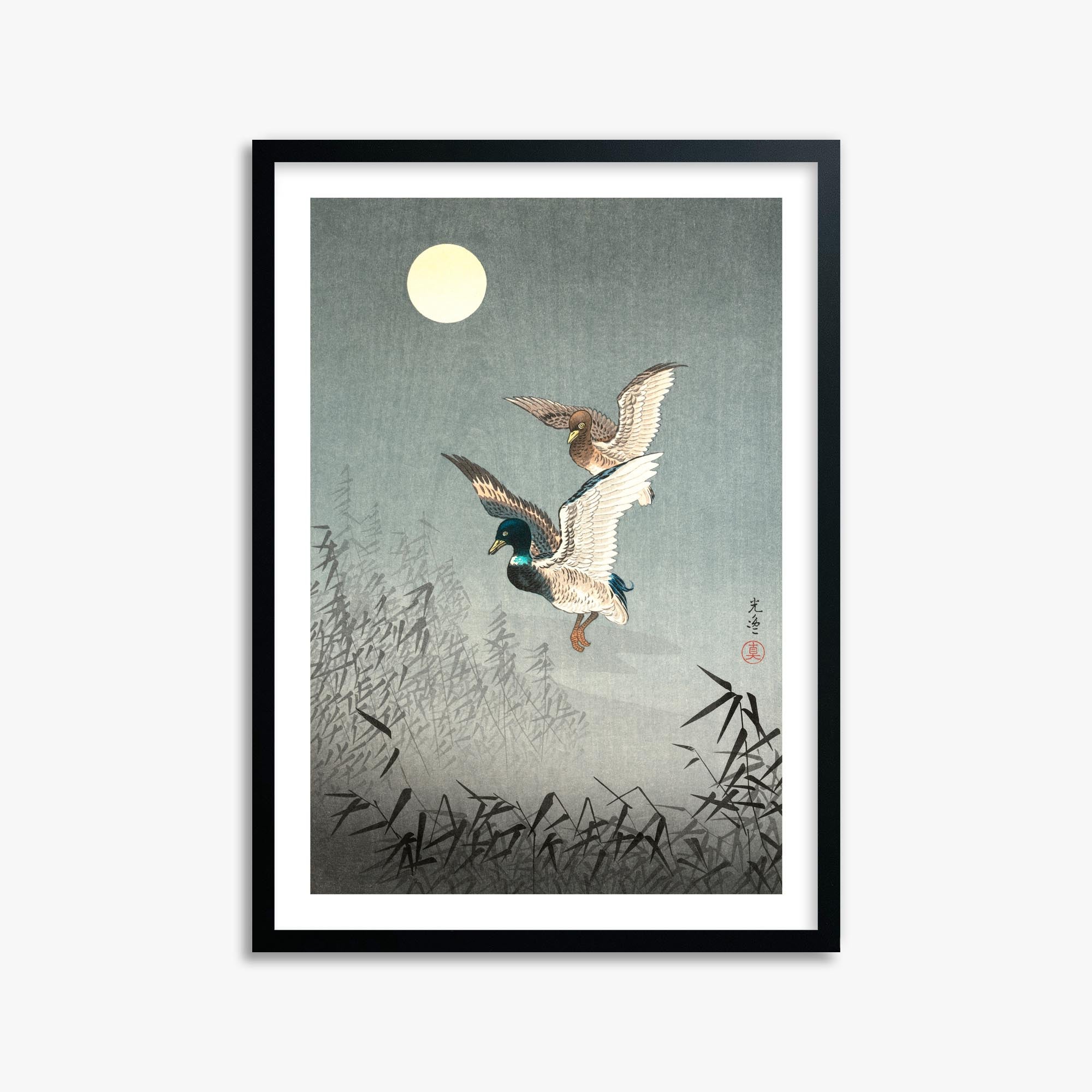 Tsuchiya Koitsu: Tokyo Views: Ducks 50x70 cm Art Reproduction With White Margin