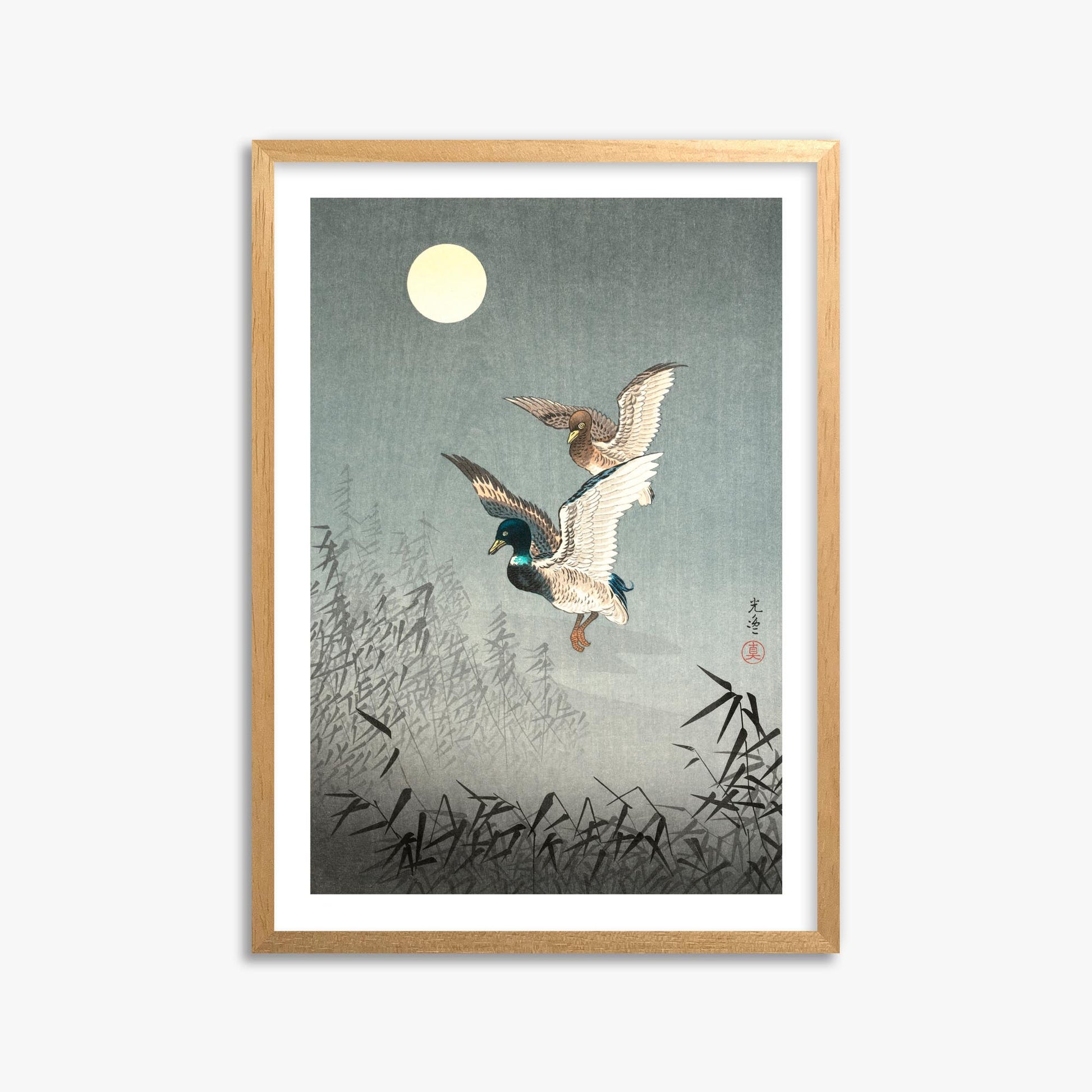 Tsuchiya Koitsu: Tokyo Views: Ducks 50x70 cm Art Reproduction With White Margin