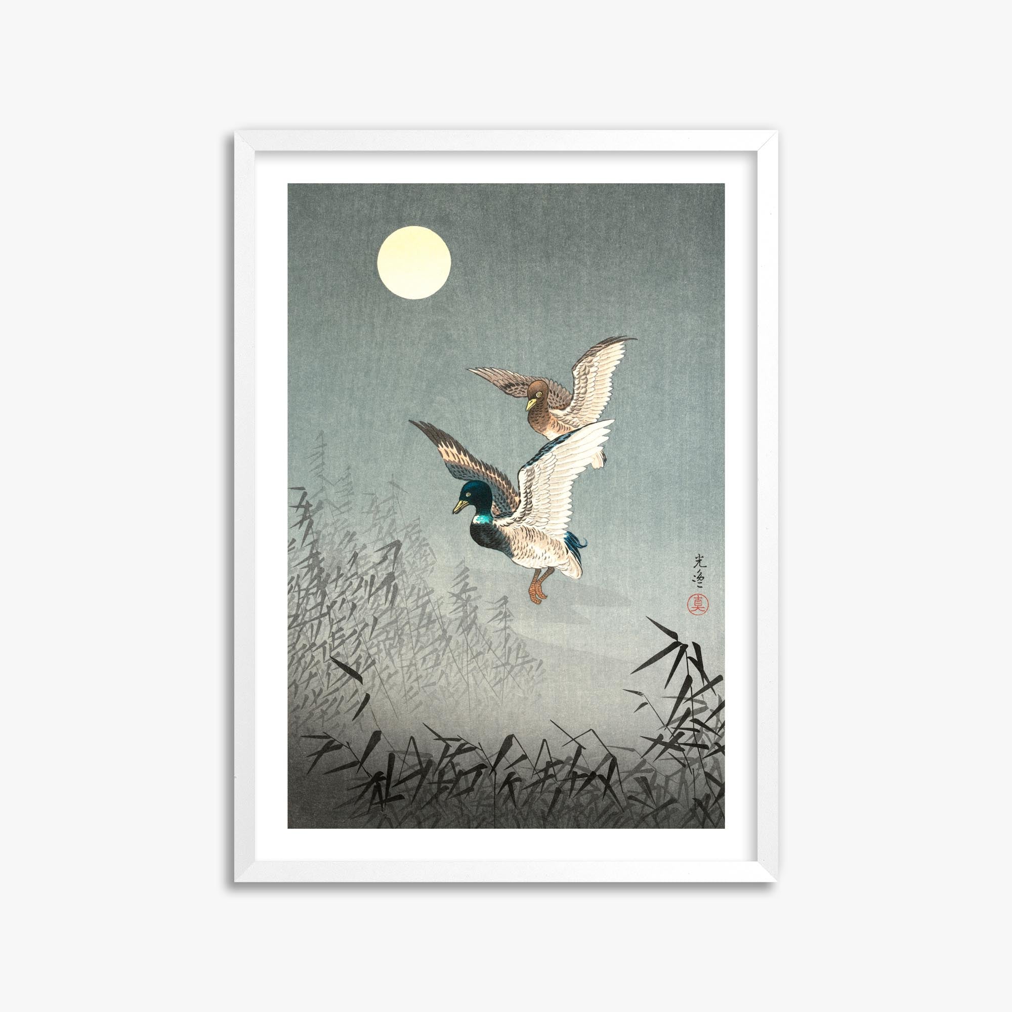 Tsuchiya Koitsu: Tokyo Views: Ducks 50x70 cm Art Reproduction With White Margin