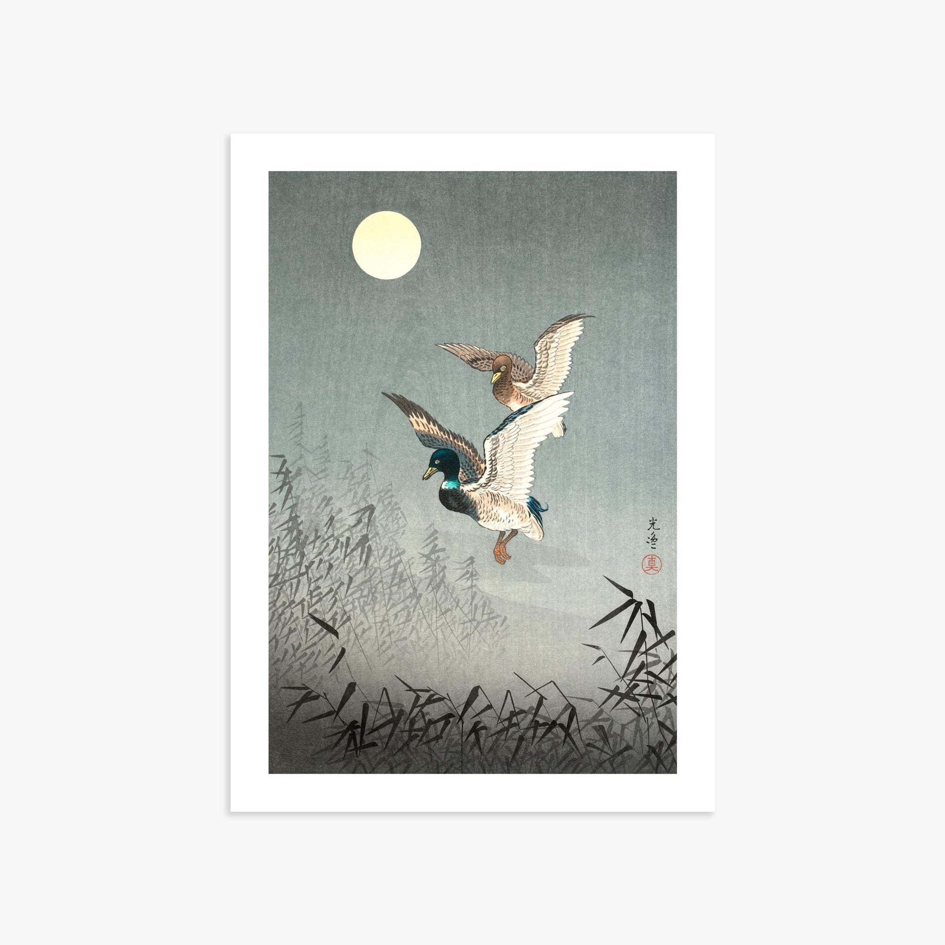 Tsuchiya Koitsu: Tokyo Views: Ducks 50x70 cm Art Reproduction With White Margin