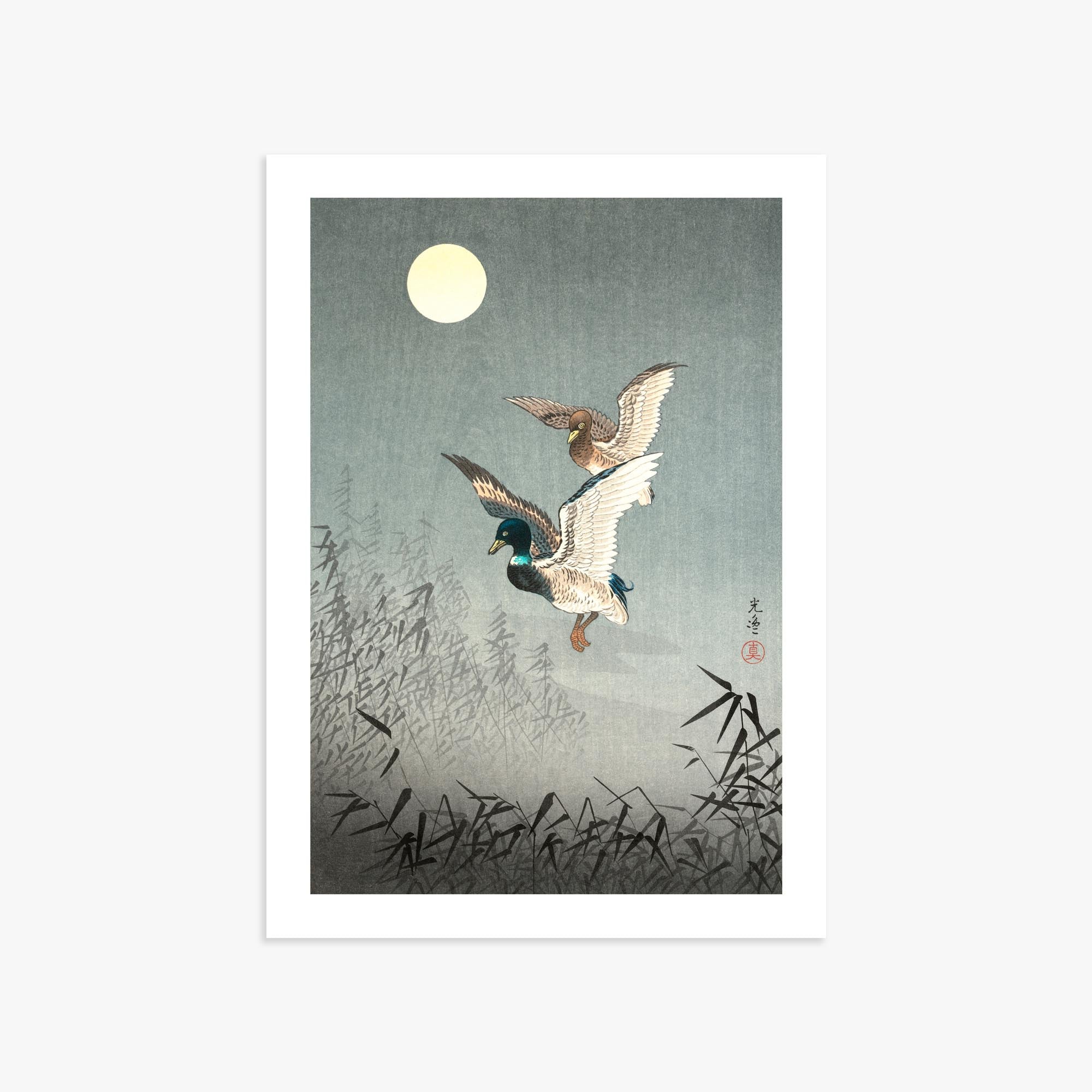 Tsuchiya Koitsu: Tokyo Views: Ducks 50x70 cm Art Reproduction With White Margin