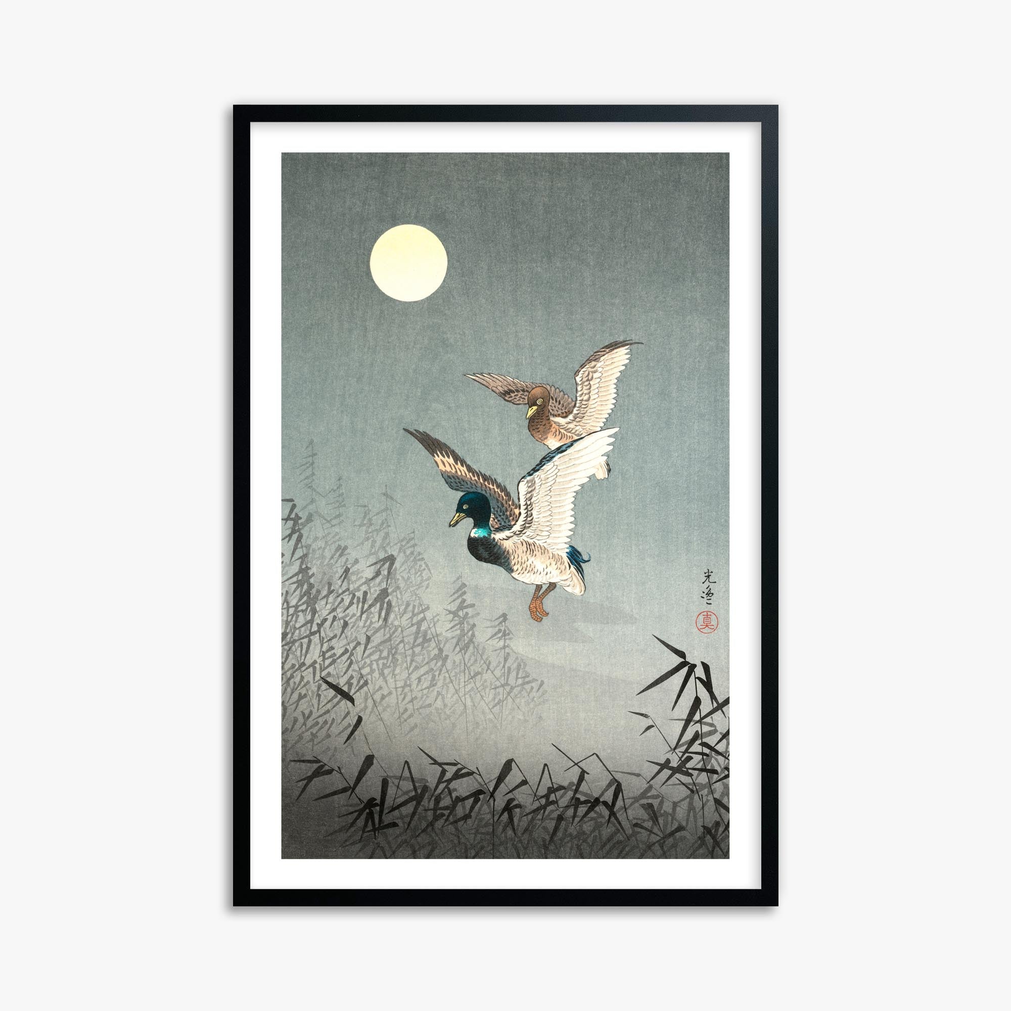 Tsuchiya Koitsu: Tokyo Views: Ducks 61x91 cm Art Reproduction With White Margin