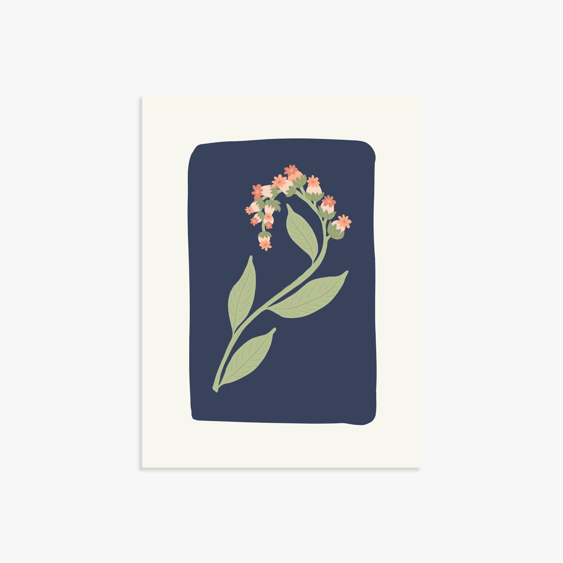 Midnight Bloom, 30x40cm Poster Unframed