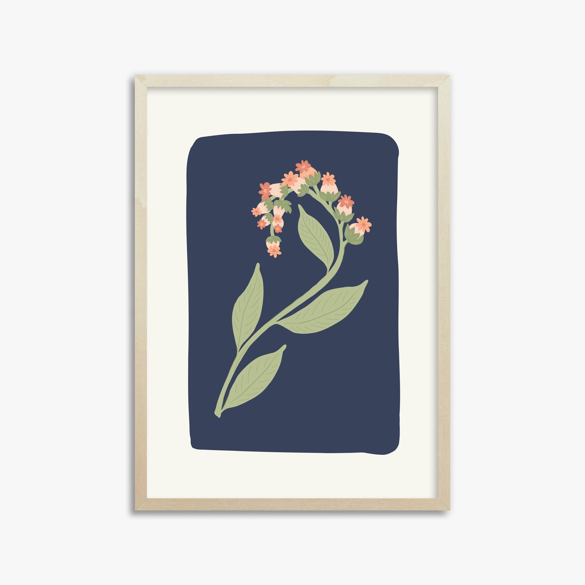Fiore di mezzanotte