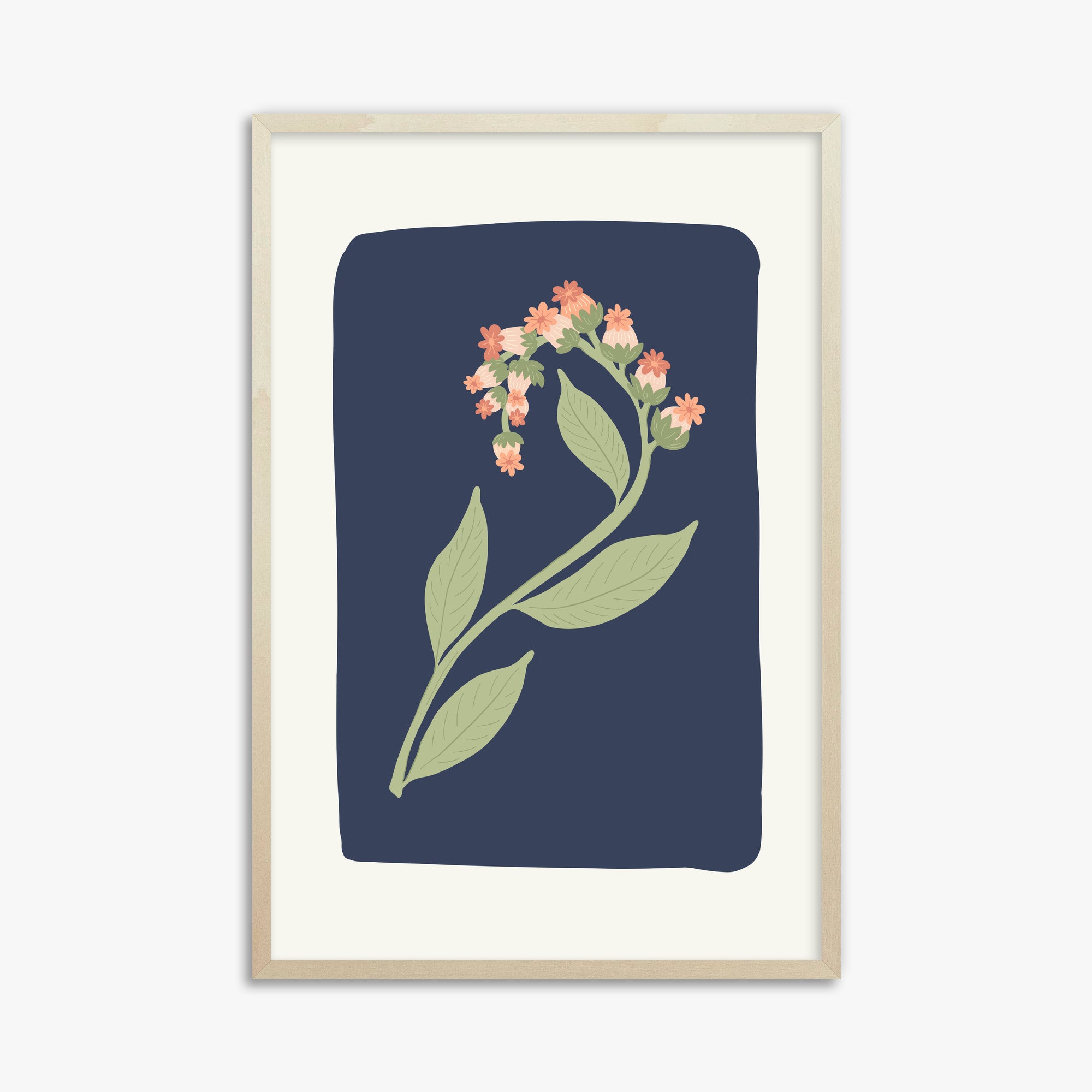 Fiore di mezzanotte