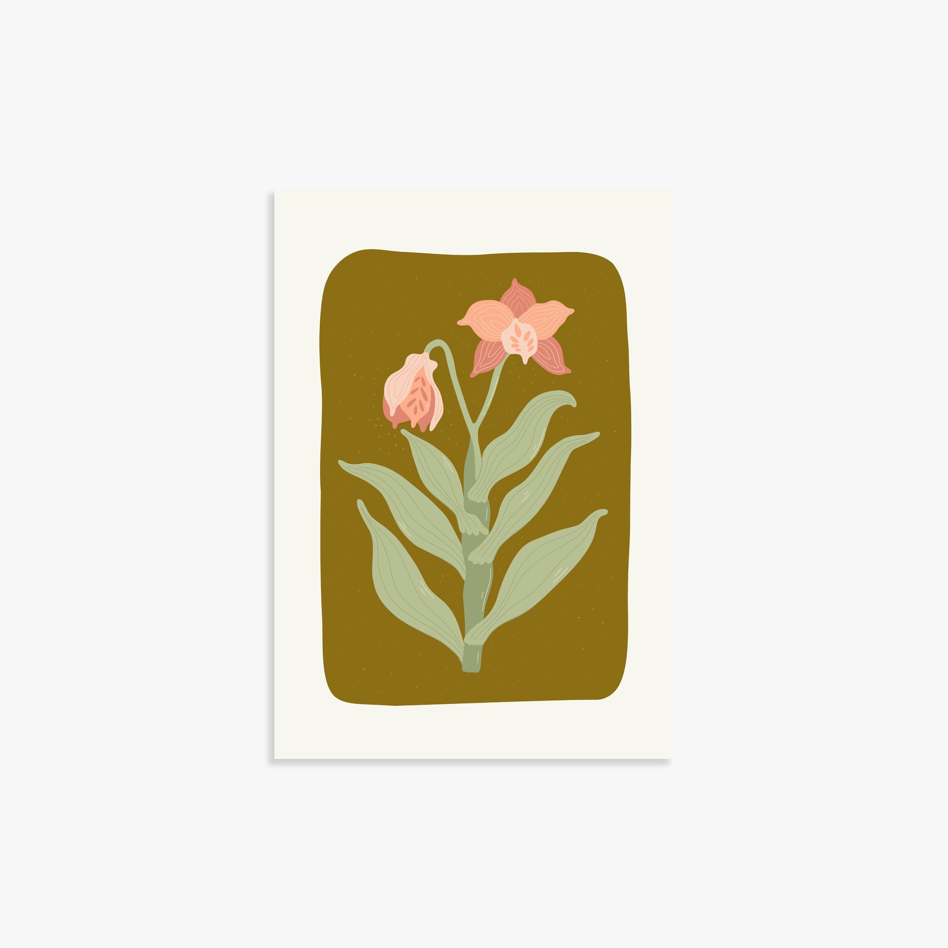 Vintage Bloom Orchid, 21x30cm Poster Unframed