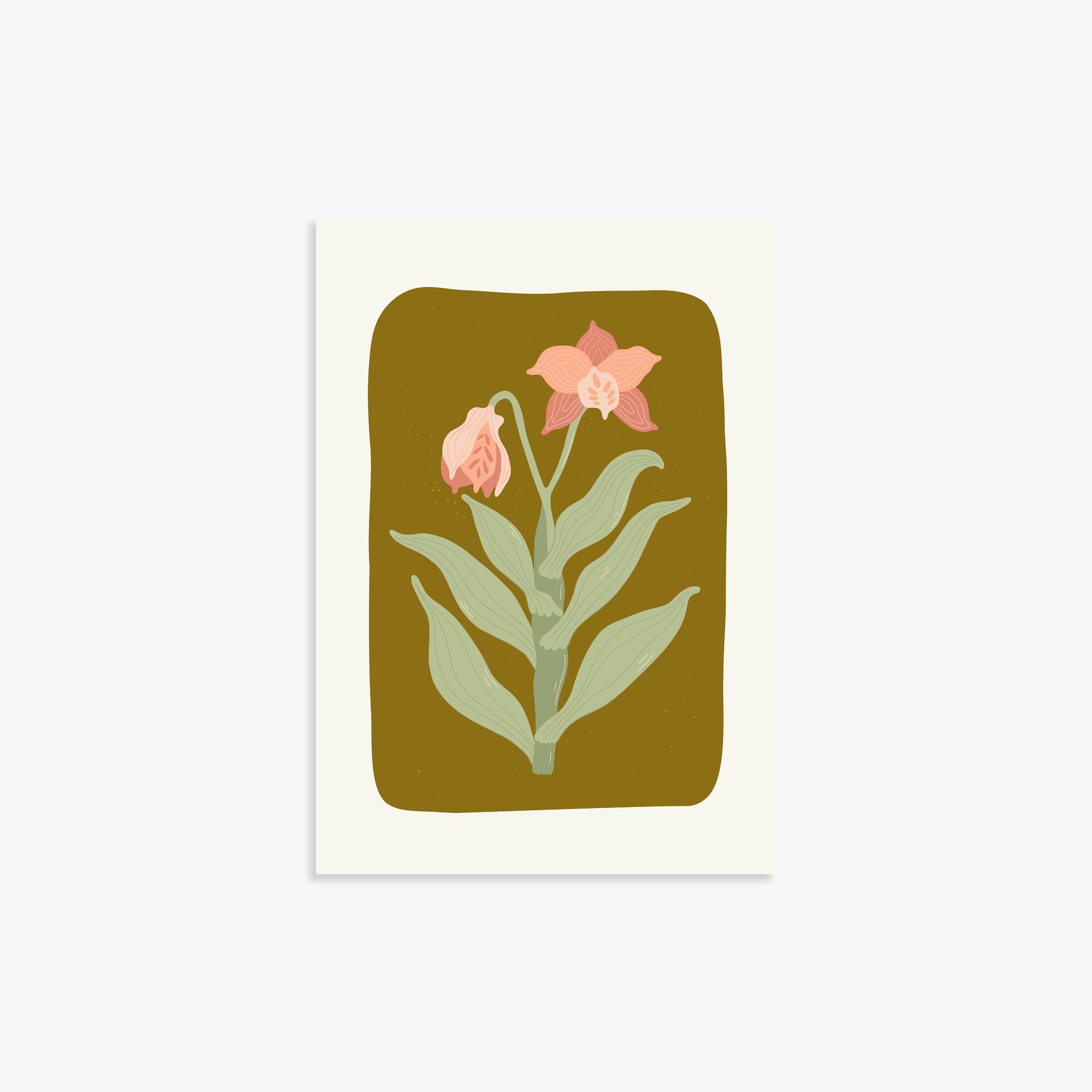 Vintage Bloom Orchid, 21x30cm Poster Unframed