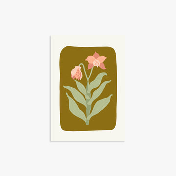 Vintage Bloom Orchid, 21x30cm Poster Unframed