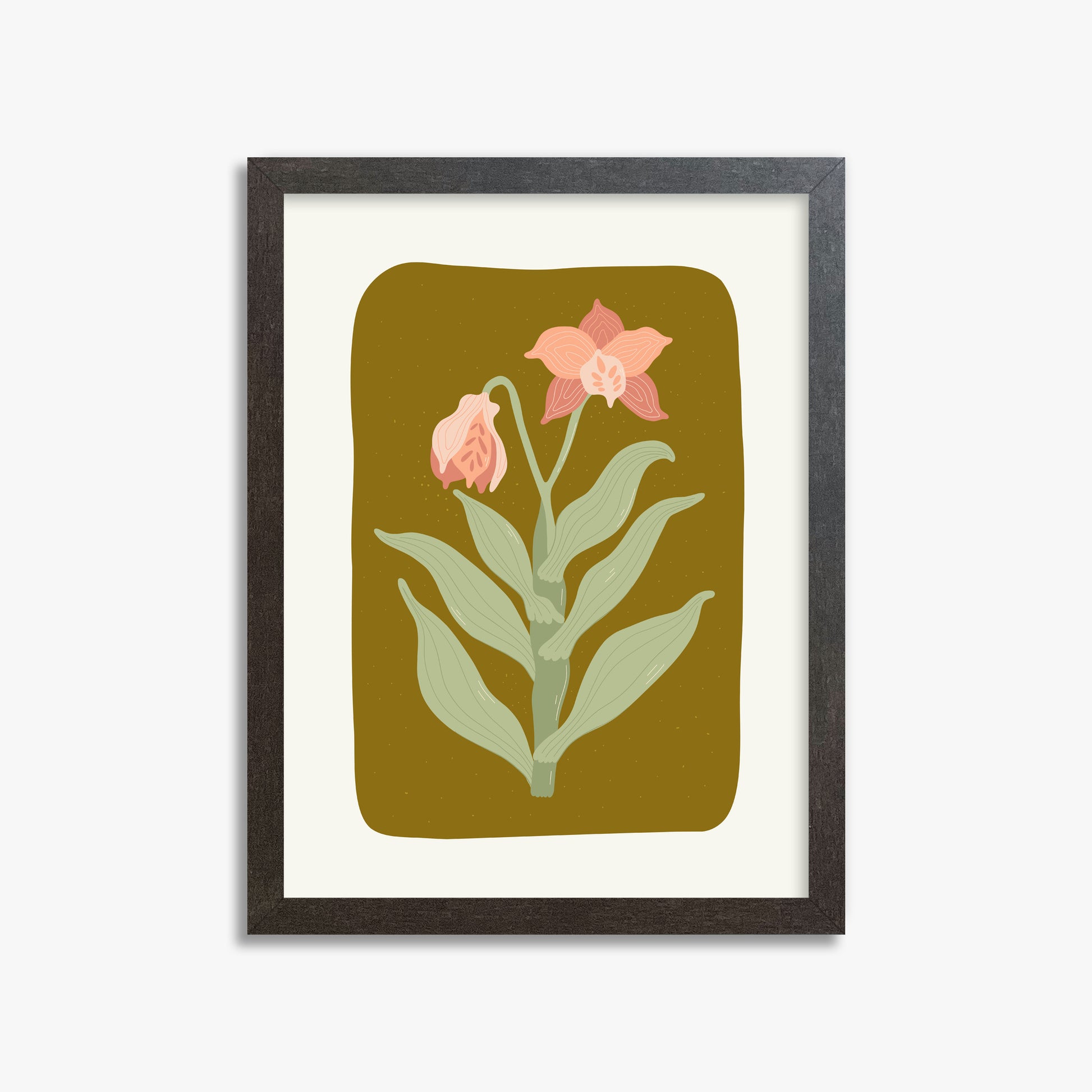 Vintage Bloom Orchid, 30x40cm Framed Poster With Espresso Frame