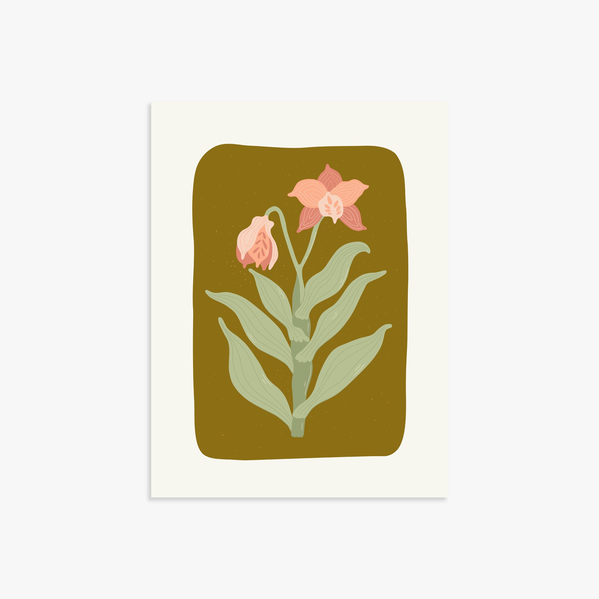 Vintage Bloom Orchid, 30x40cm Poster Unframed