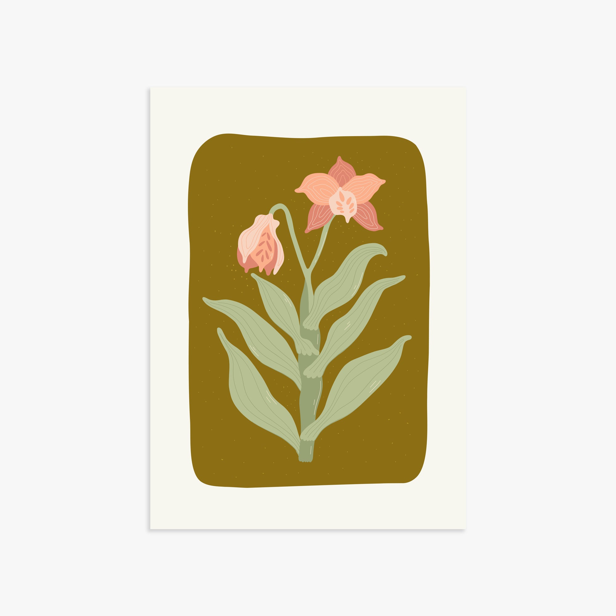 Vintage Bloom Orchid, 50x70cm Poster Unframed