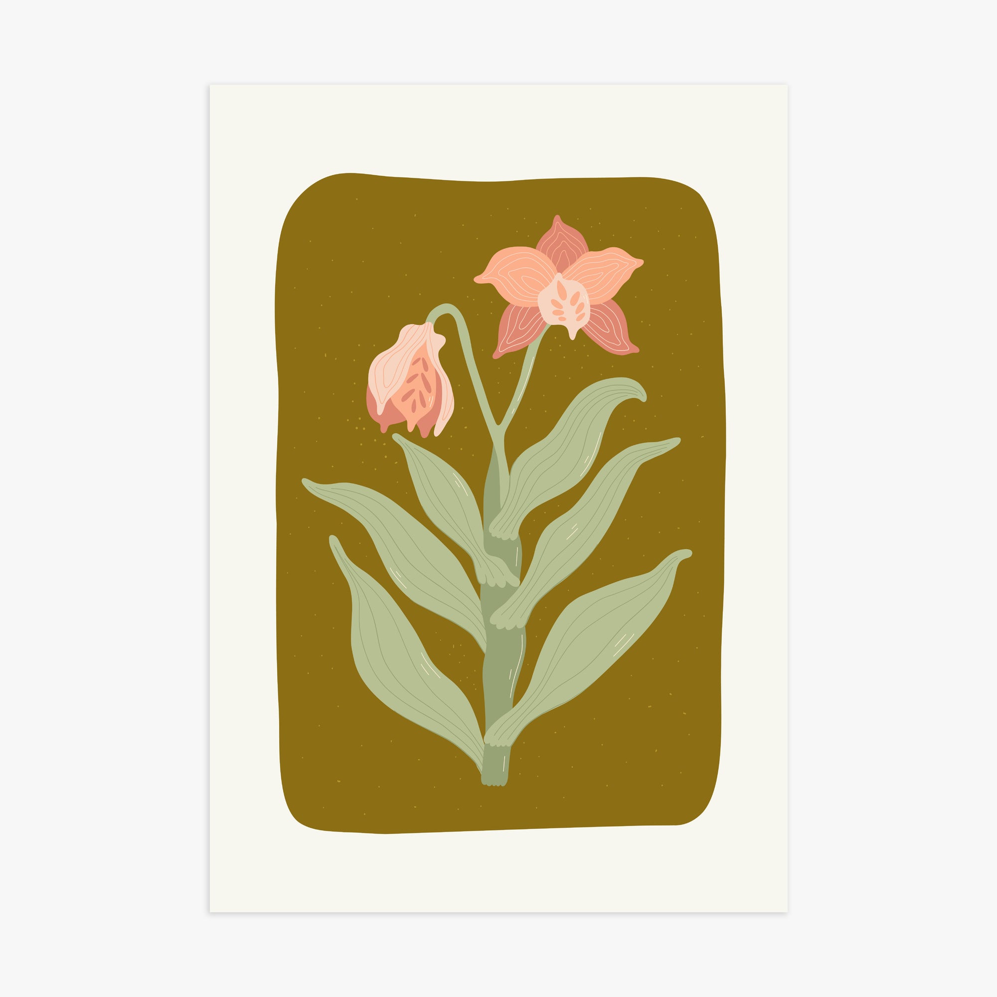 Vintage Bloom Orchid, 70x100cm Poster Unframed