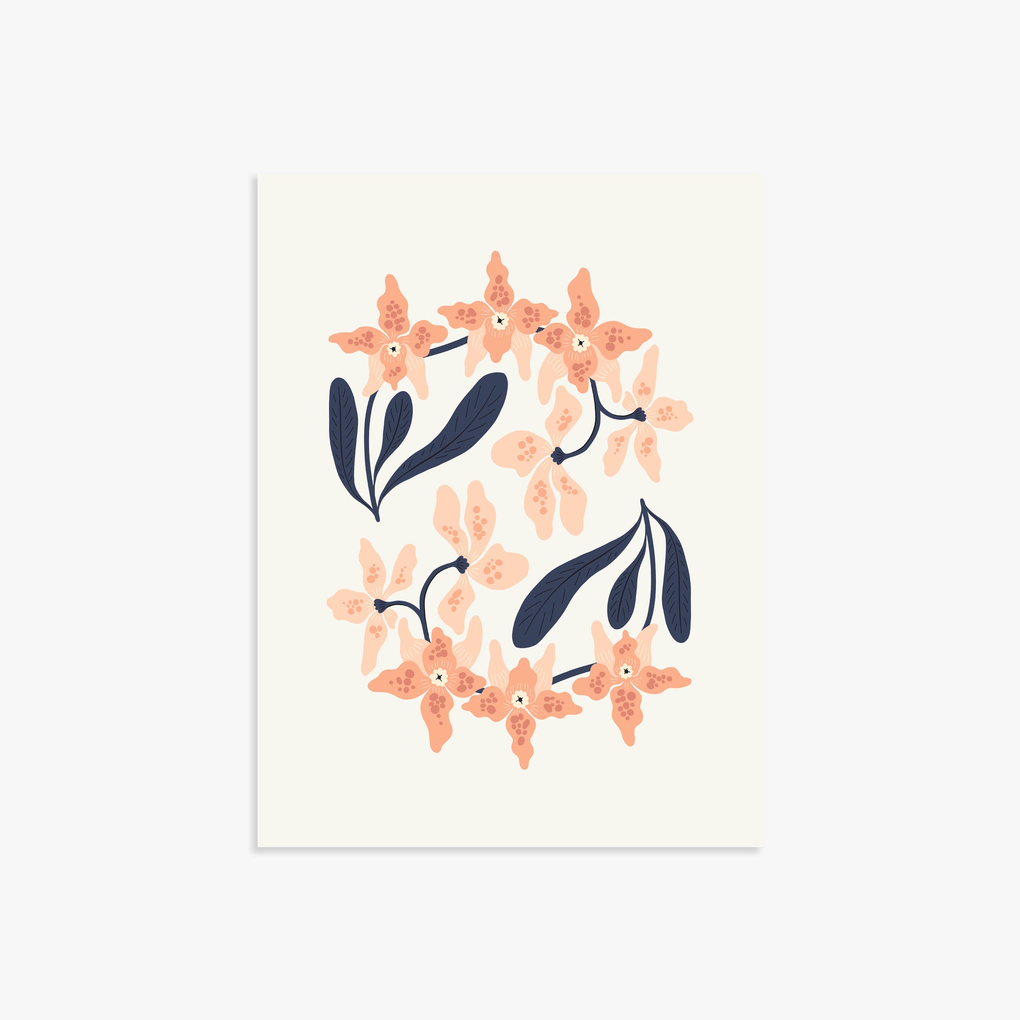 Peach Blossom Circle, 30x40cm Poster Unframed