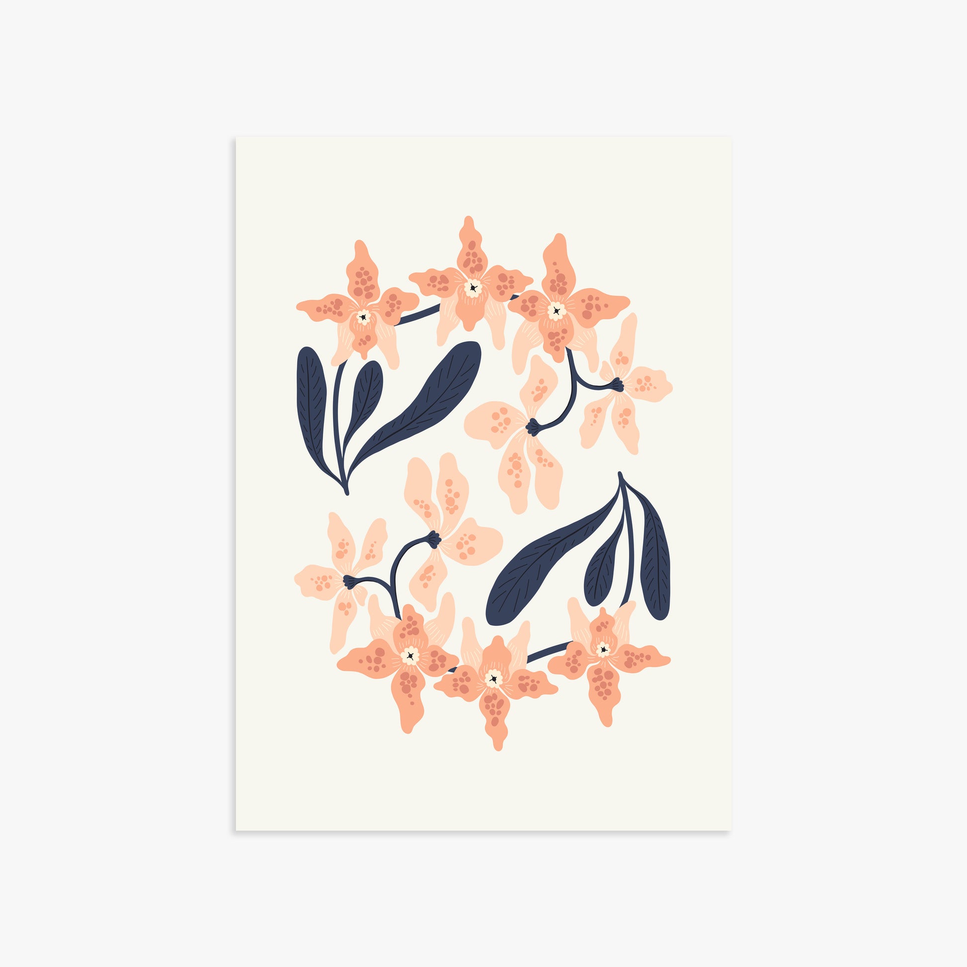 Peach Blossom Circle, 50x70cm Poster Unframed