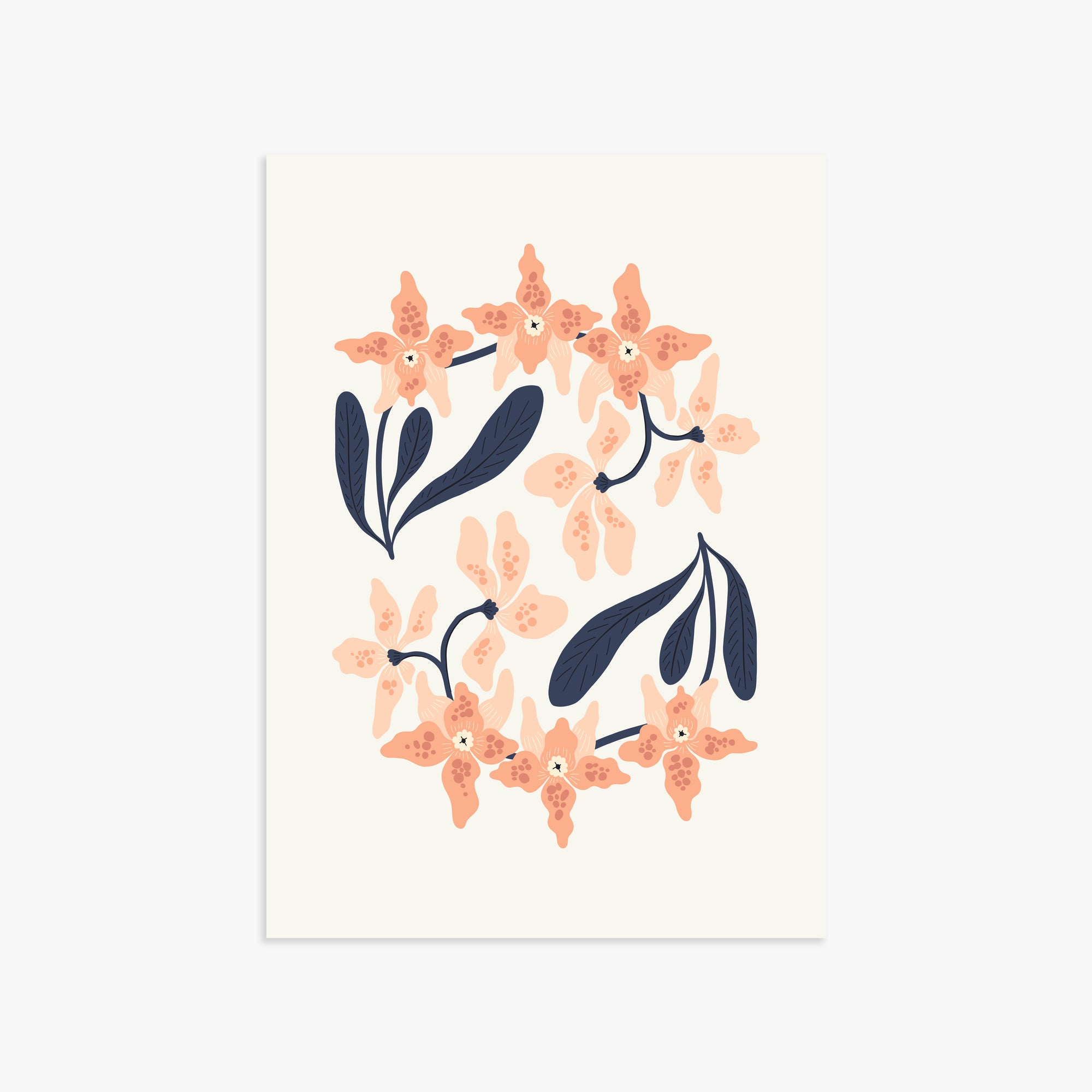 Peach Blossom Circle, 50x70cm Poster Unframed