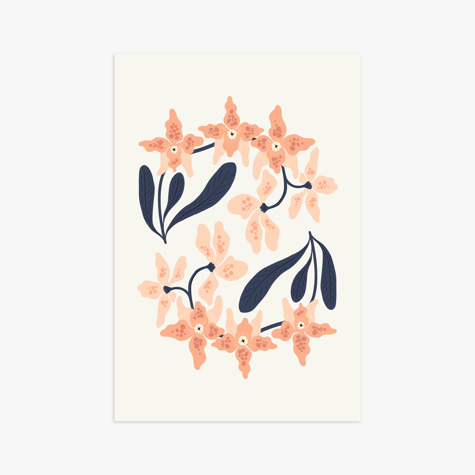 Peach Blossom Circle, 61x91cm Poster Unframed