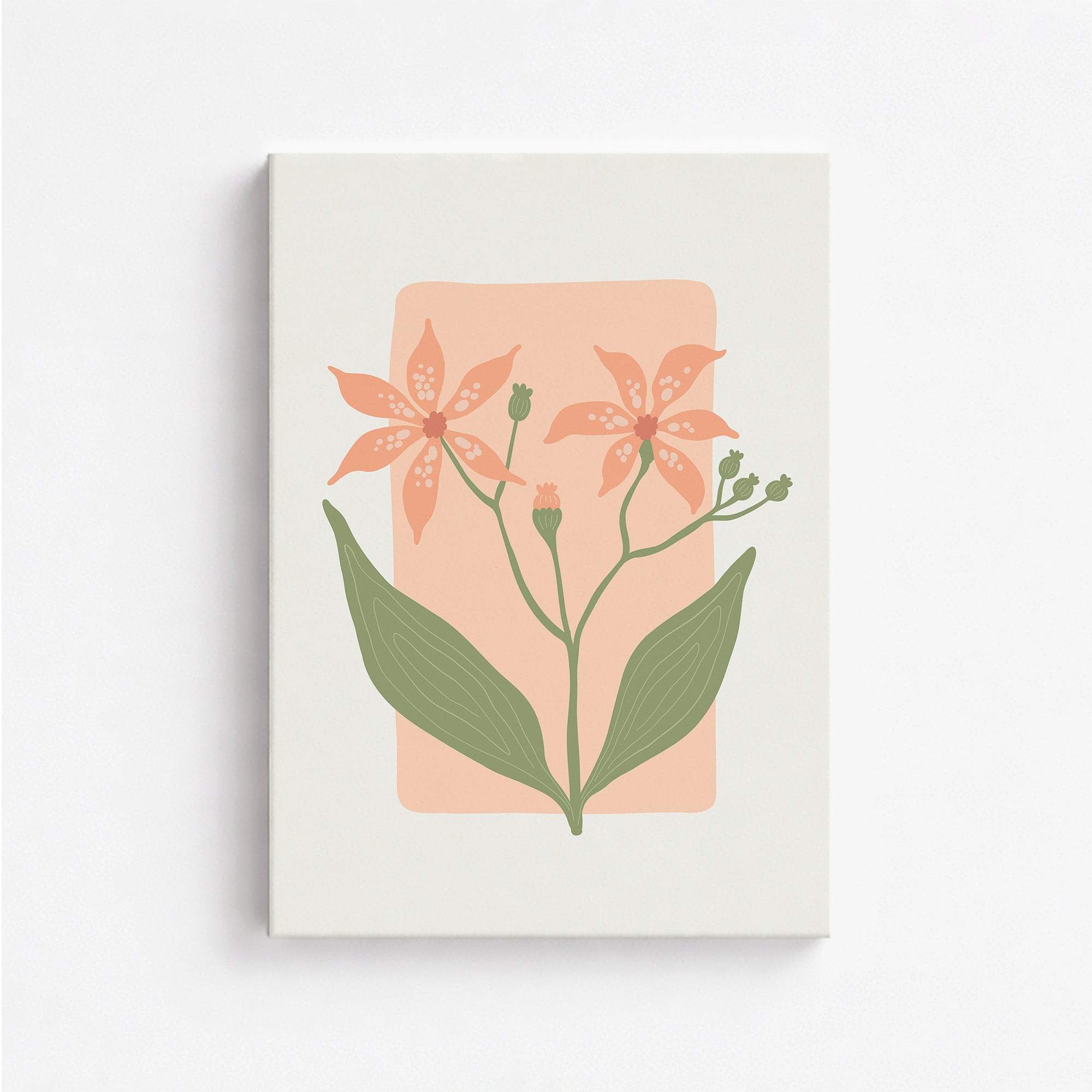 Peach Lily Blooms