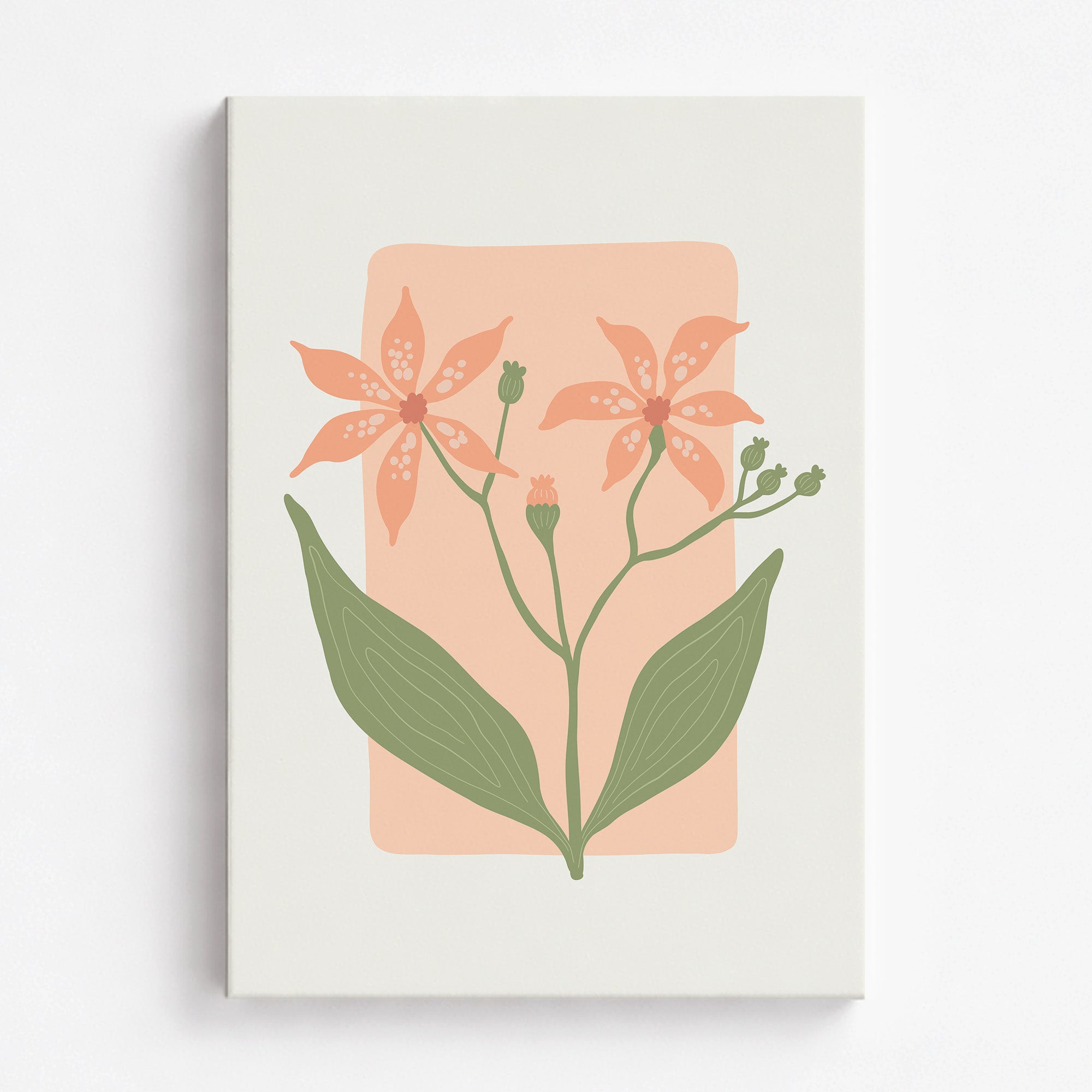 Peach Lily Blooms