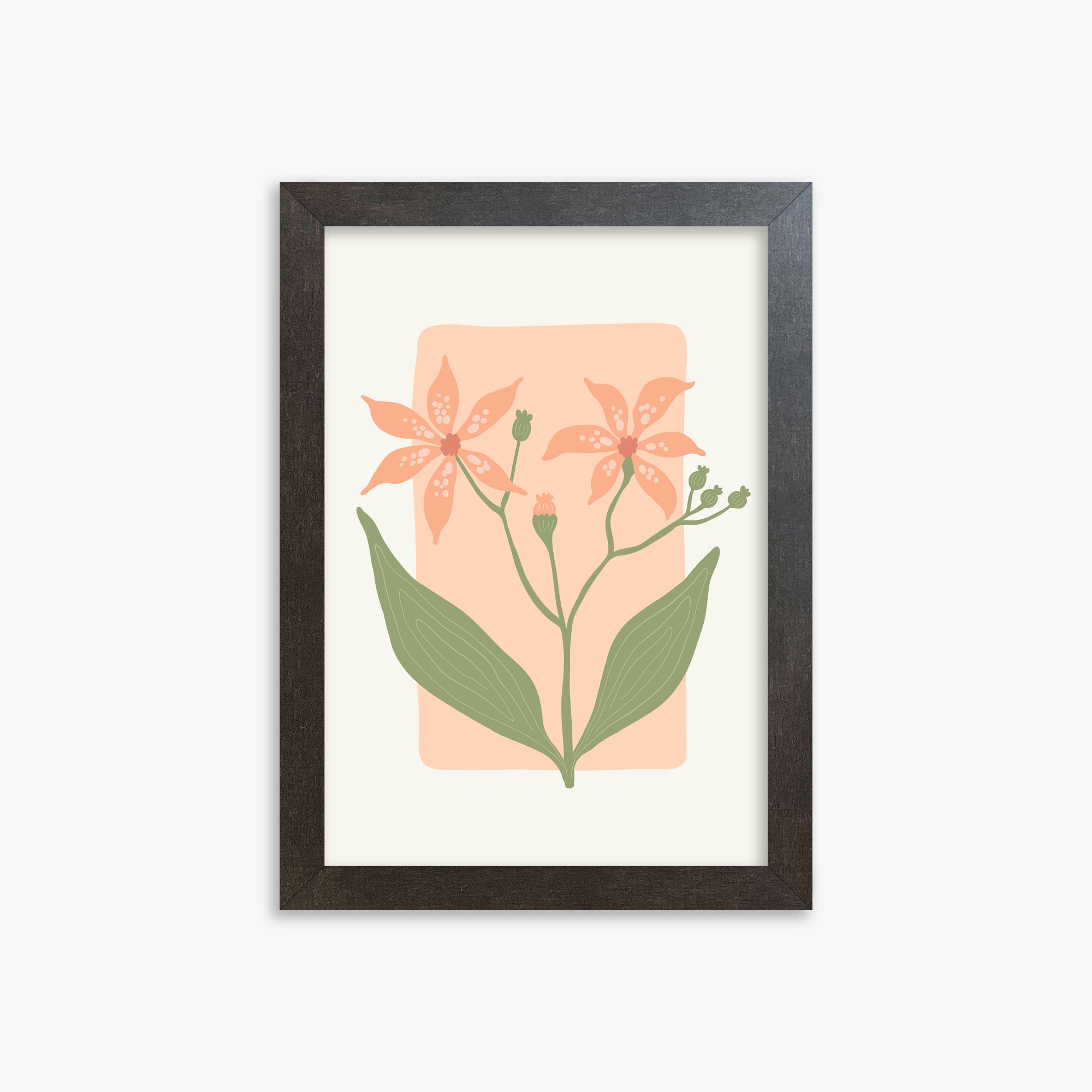 Peach Lily Blooms, 21x30cm Framed Poster With Espresso Frame