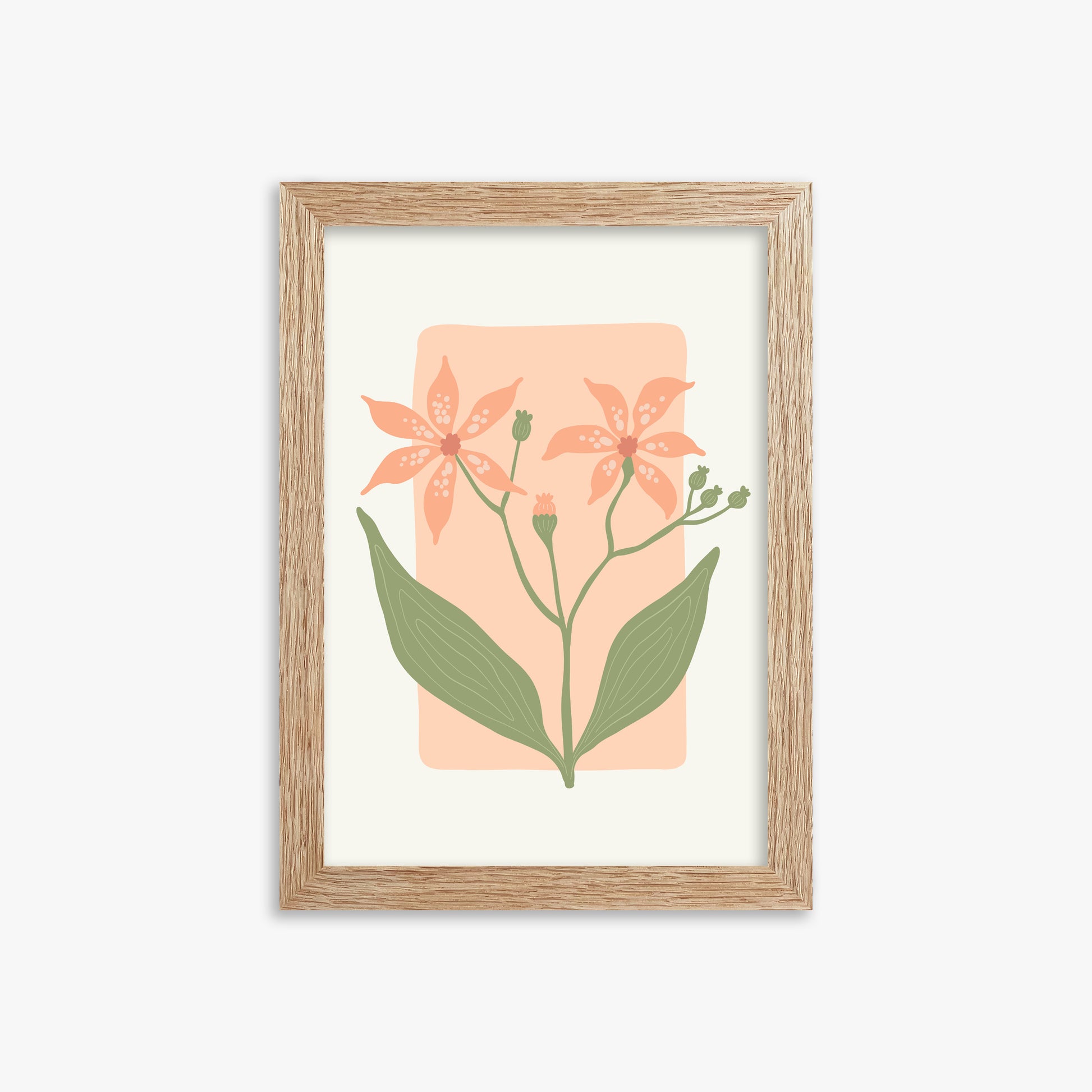 Peach Lily Blooms, 21x30cm Framed Poster With Raw Oak Frame