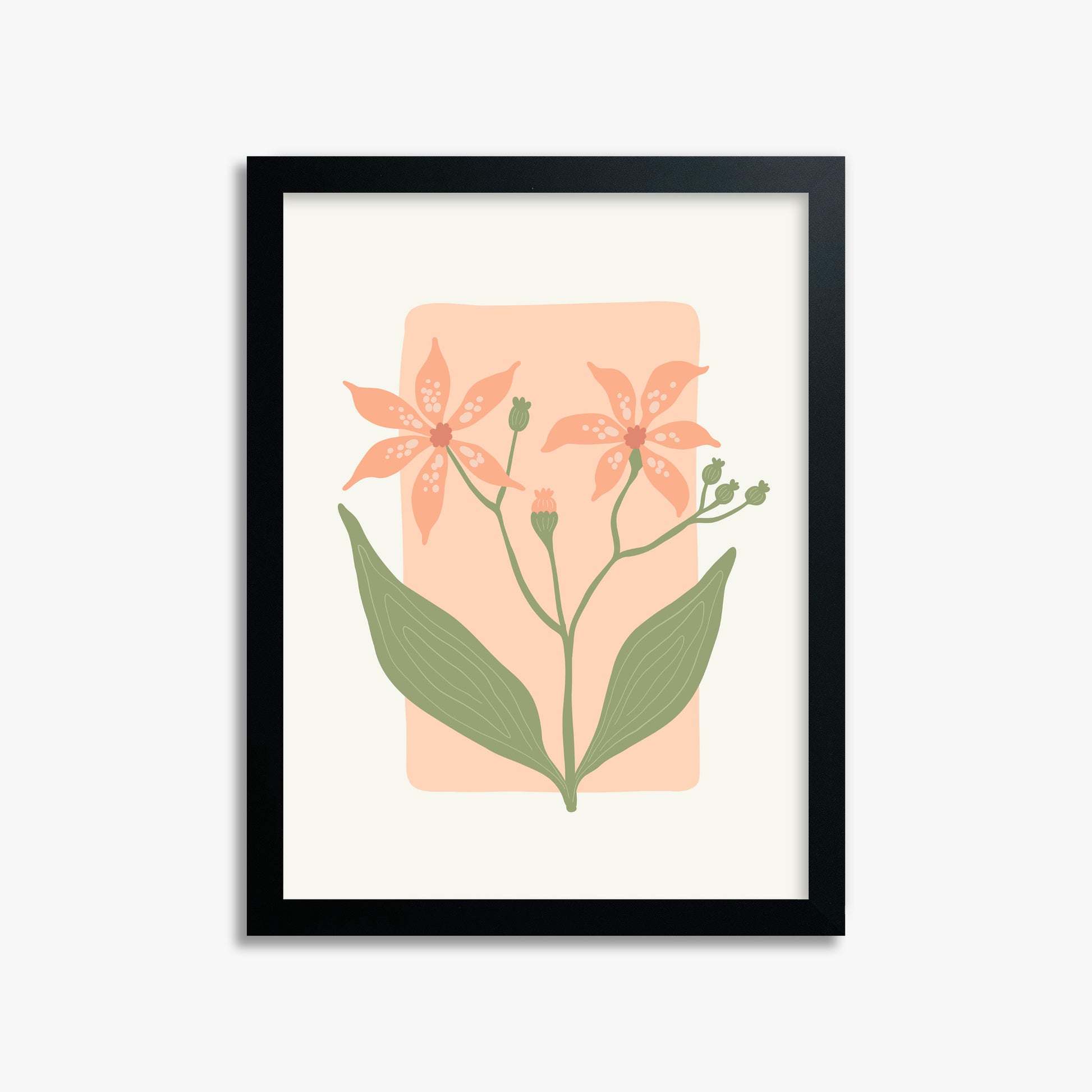 Peach Lily Blooms, 30x40cm Framed Poster With Black Frame