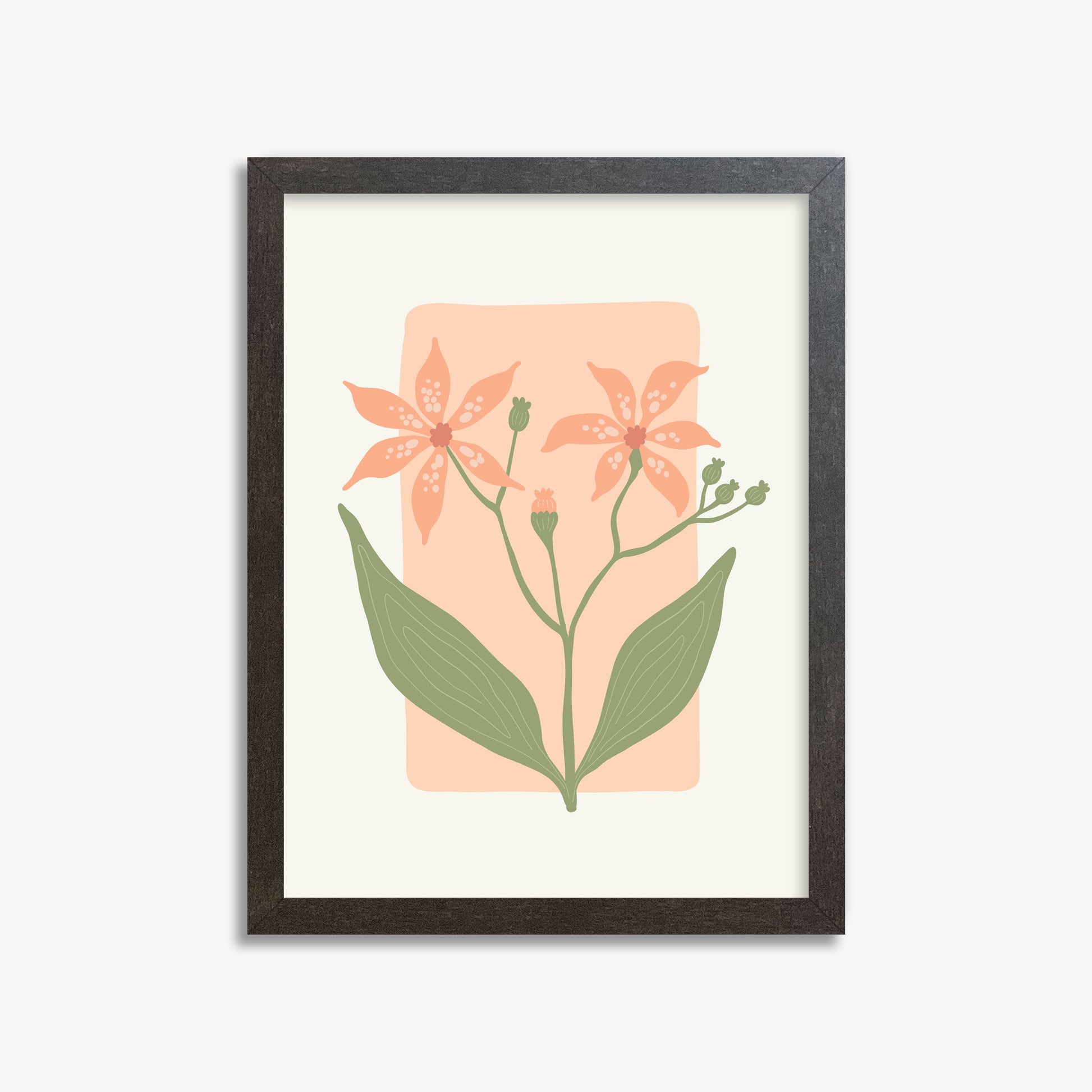 Peach Lily Blooms, 30x40cm Framed Poster With Espresso Frame