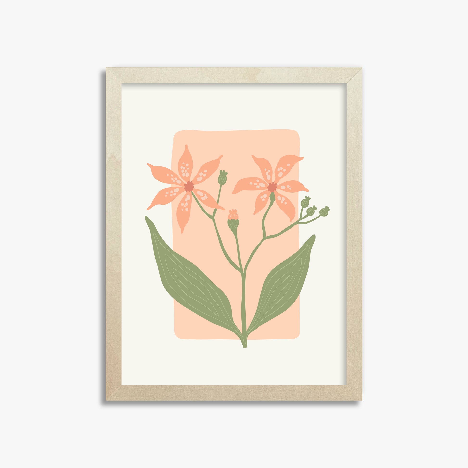 Peach Lily Blooms, 30x40cm Framed Poster With Lime Wood Frame