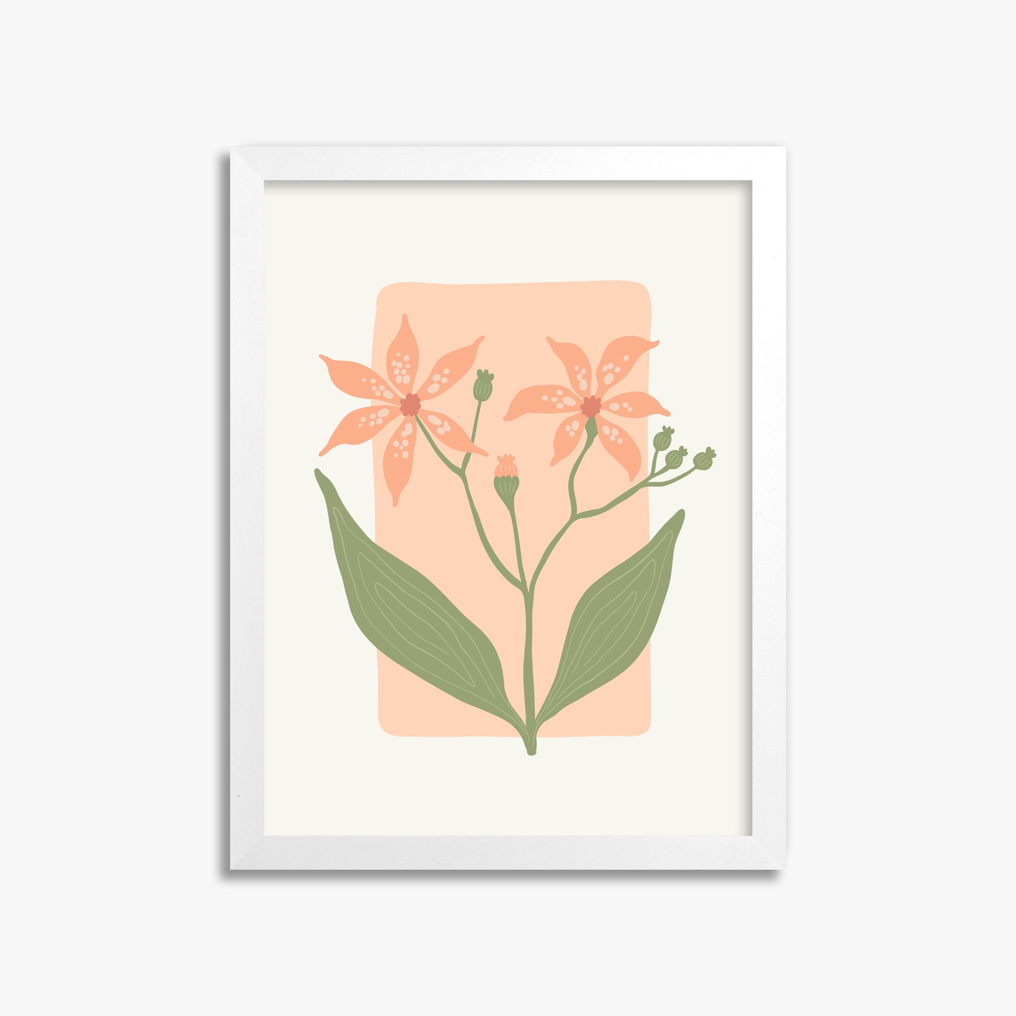 Peach Lily Blooms, 30x40cm Framed Poster With White Frame