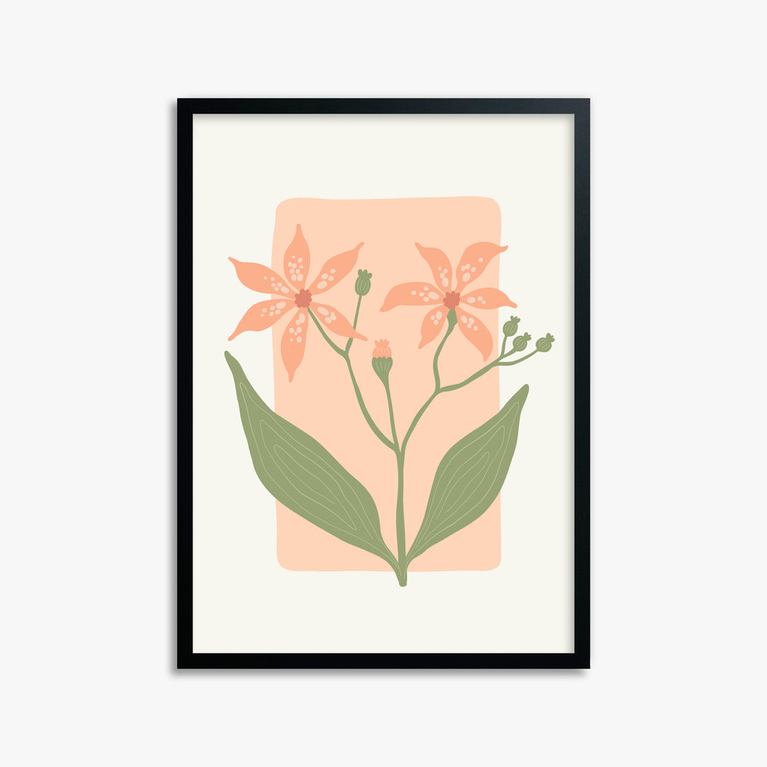 Peach Lily Blooms, 50x70cm Framed Poster With Black Frame