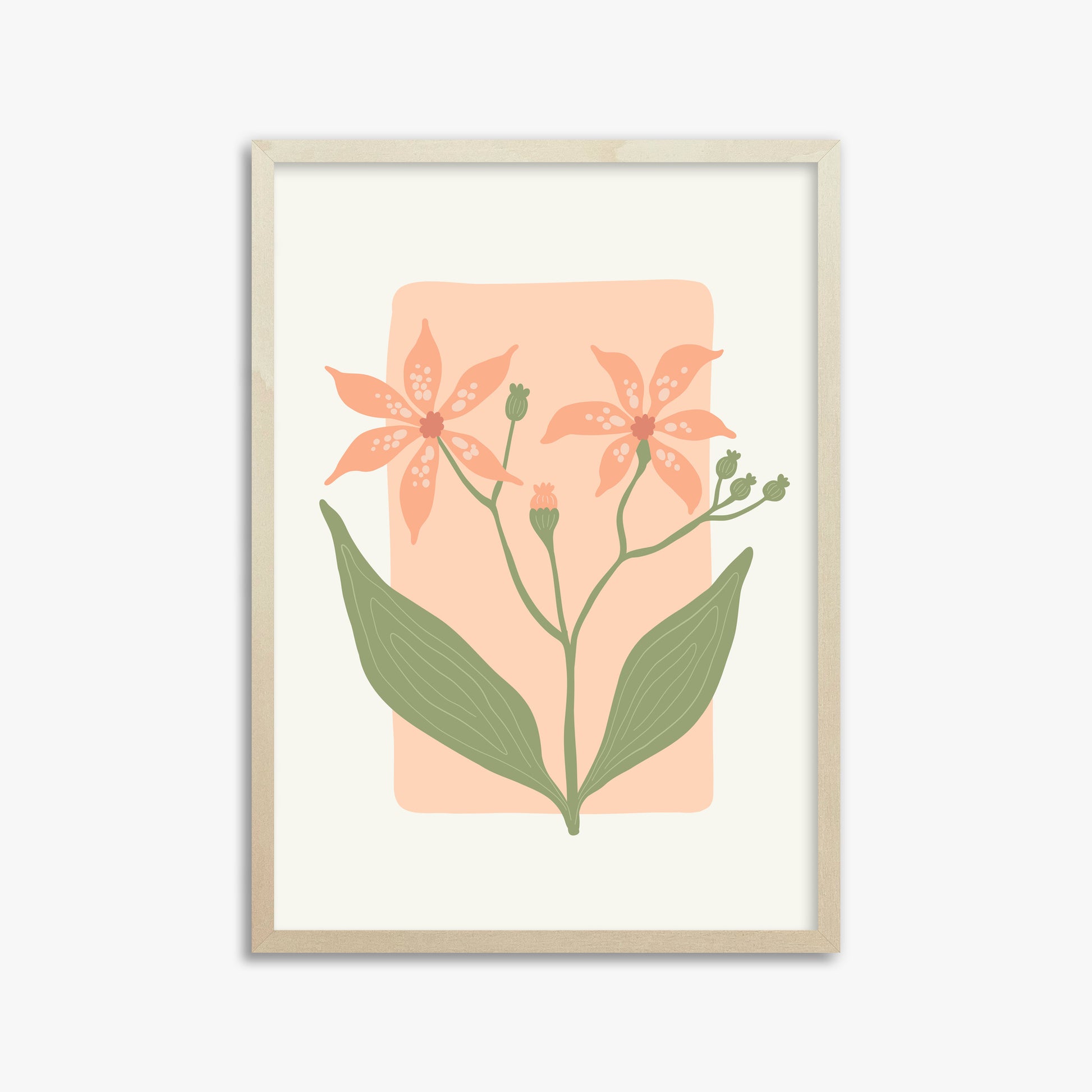Peach Lily Blooms, 50x70cm Framed Poster With Lime Wood Frame