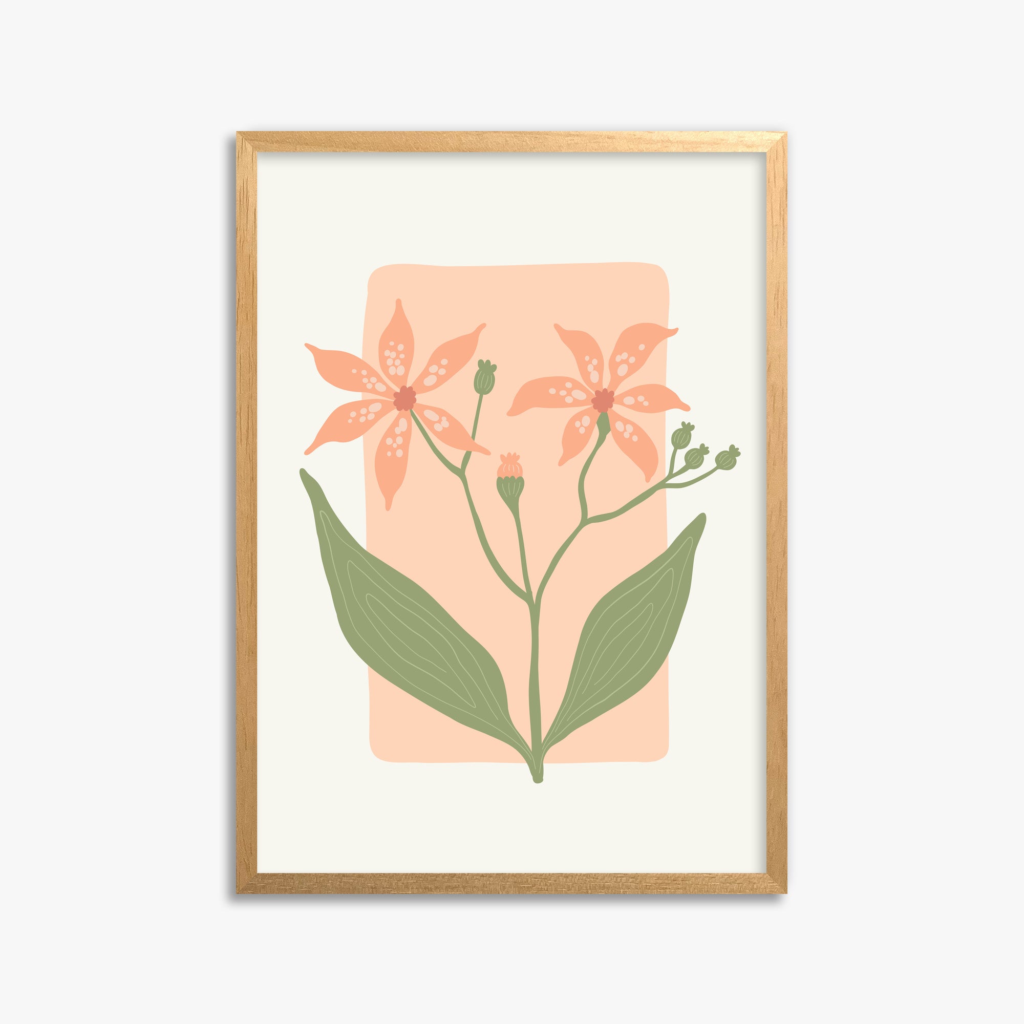 Peach Lily Blooms, 50x70cm Framed Poster With Oak Frame