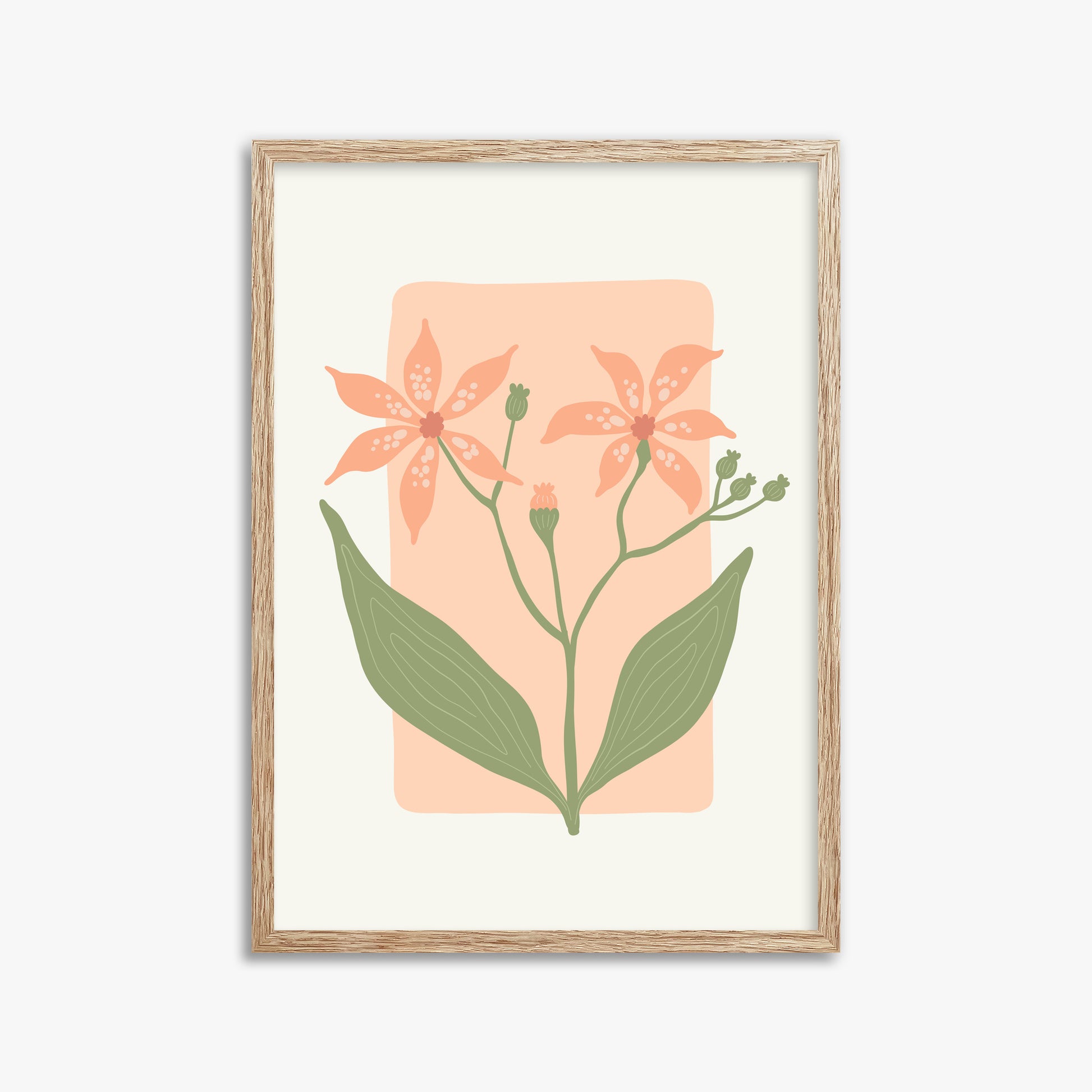 Peach Lily Blooms, 50x70cm Framed Poster With Raw Oak Frame