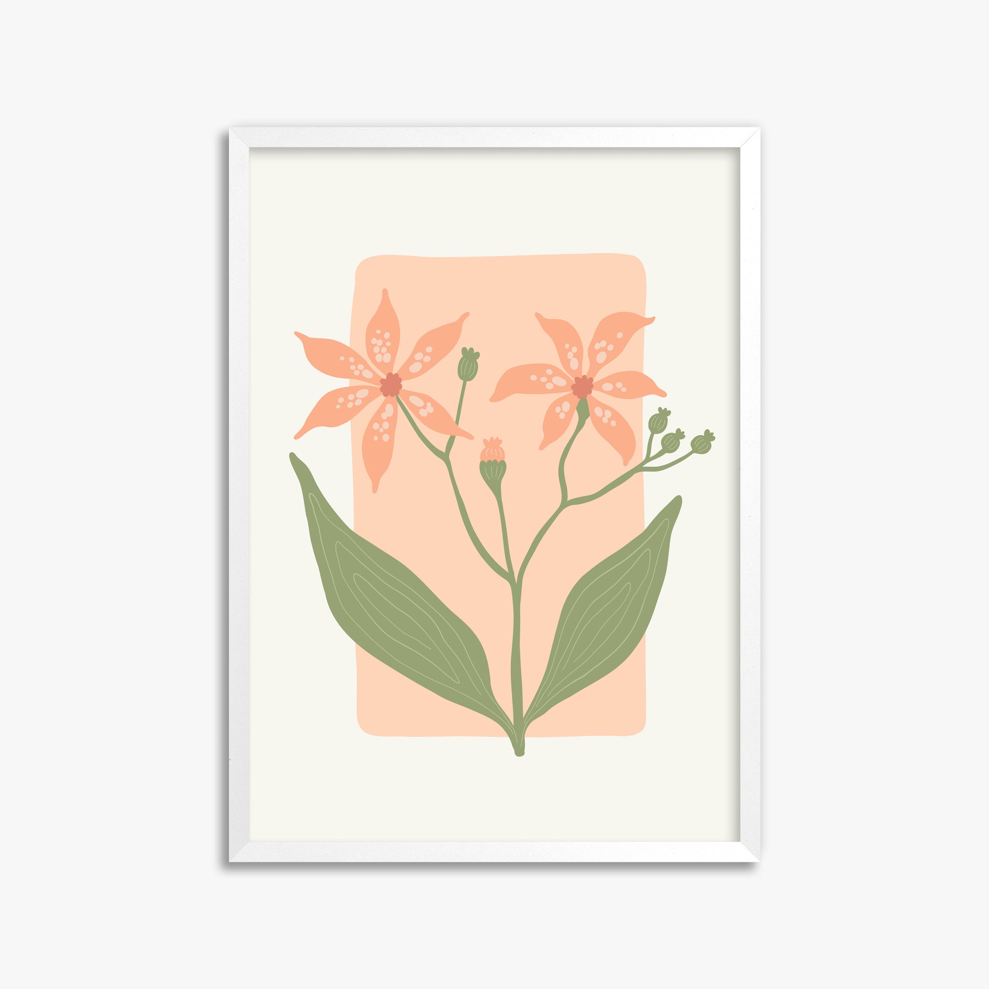 Peach Lily Blooms, 50x70cm Framed Poster With White Frame