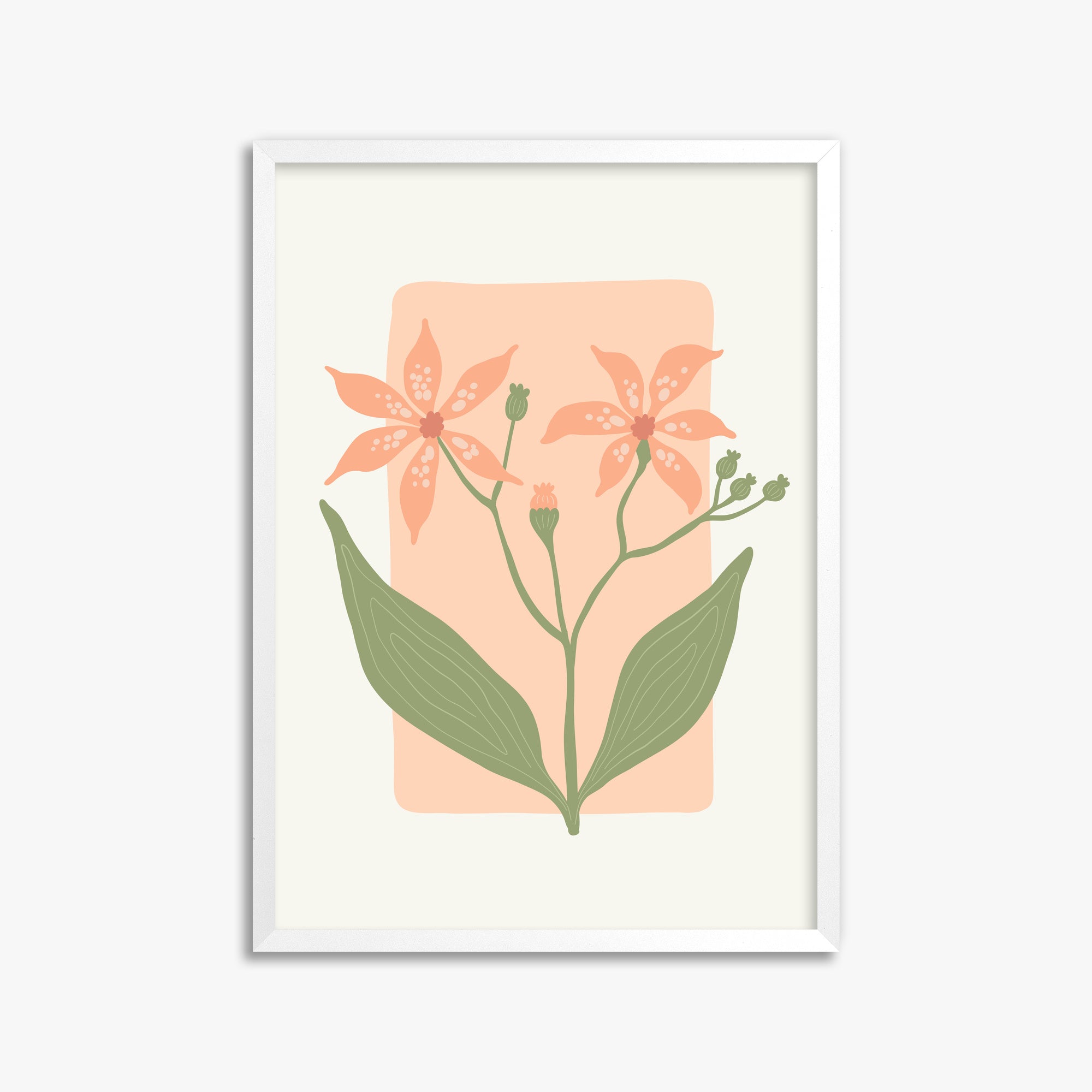 Peach Lily Blooms, 50x70cm Framed Poster With White Frame