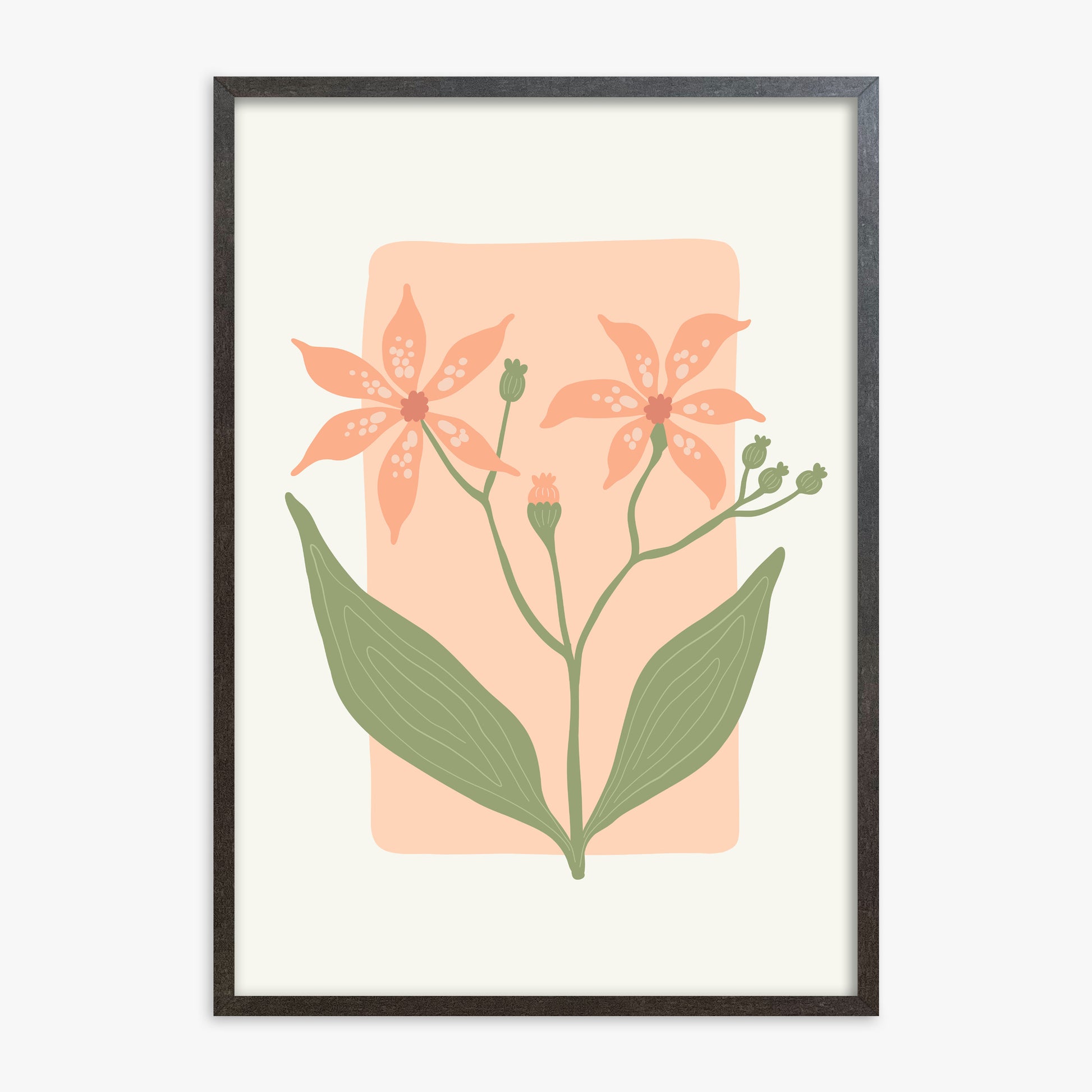 Peach Lily Blooms, 70x100cm Framed Poster With Espresso Frame