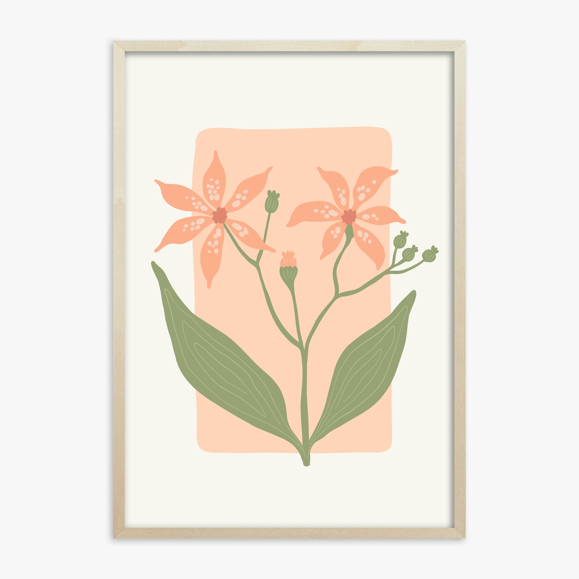 Peach Lily Blooms, 70x100cm Framed Poster With Lime Wood Frame