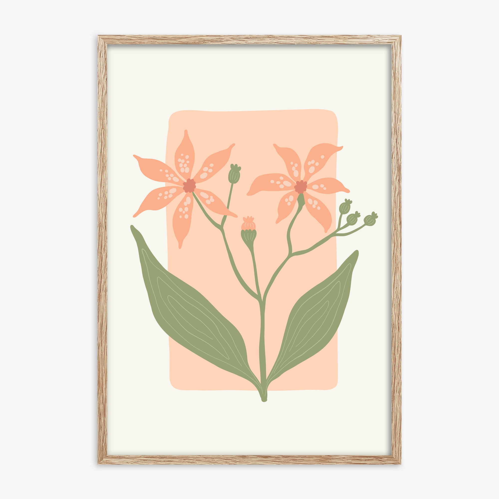 Peach Lily Blooms, 70x100cm Framed Poster With Raw Oak Frame