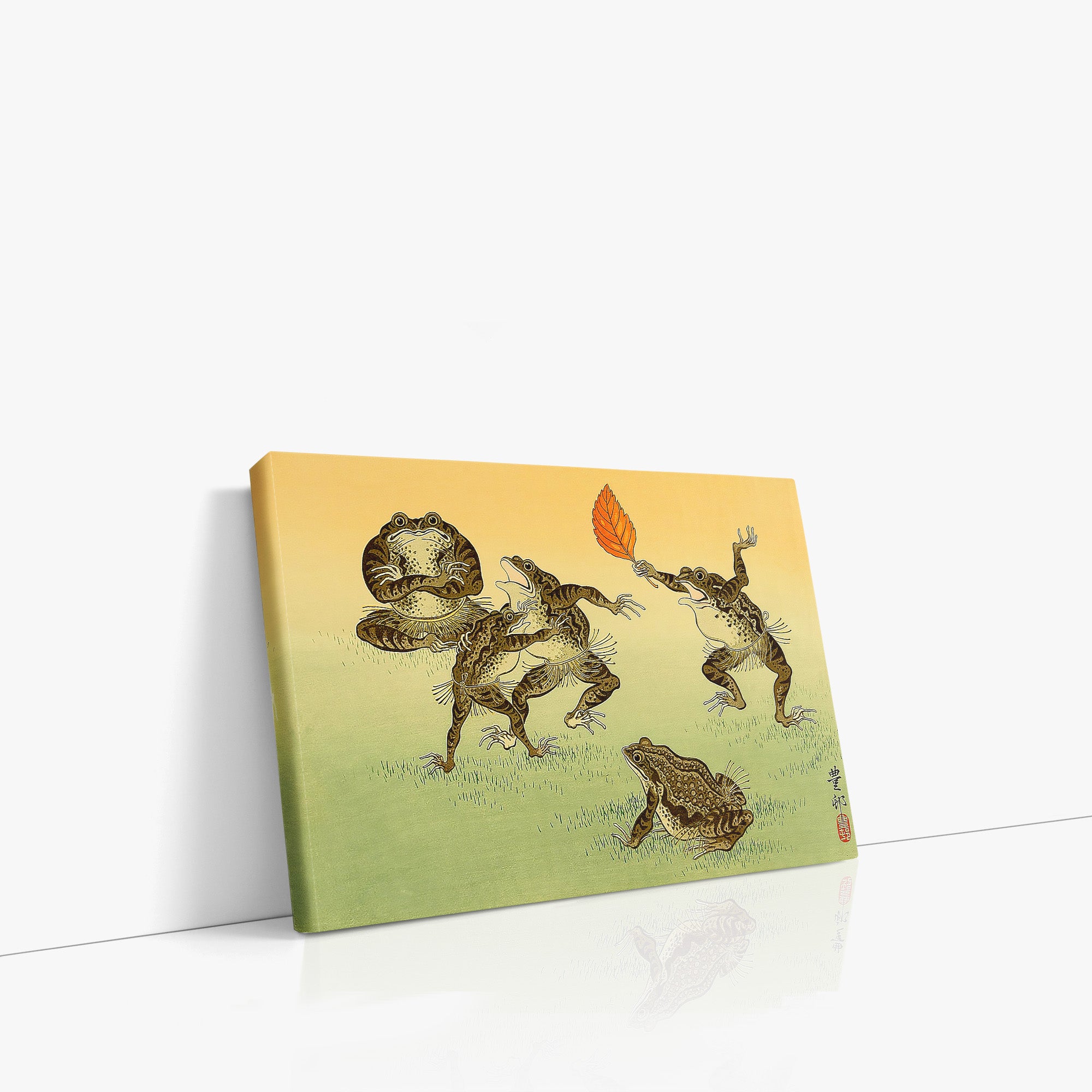Crapauds lutteurs de sumo
