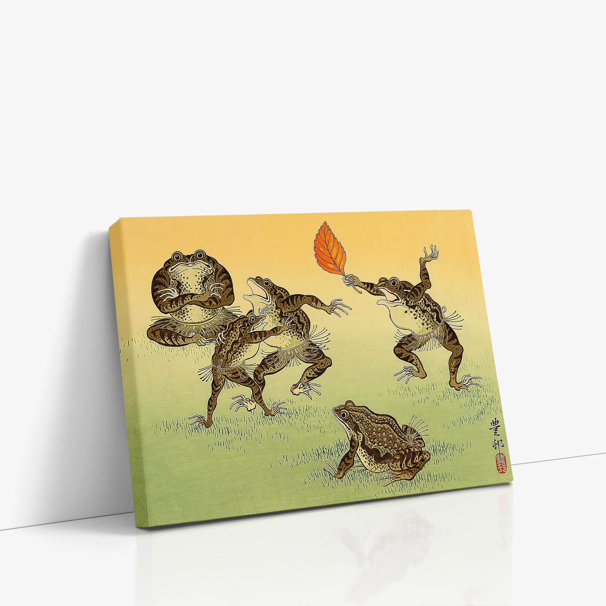Crapauds lutteurs de sumo