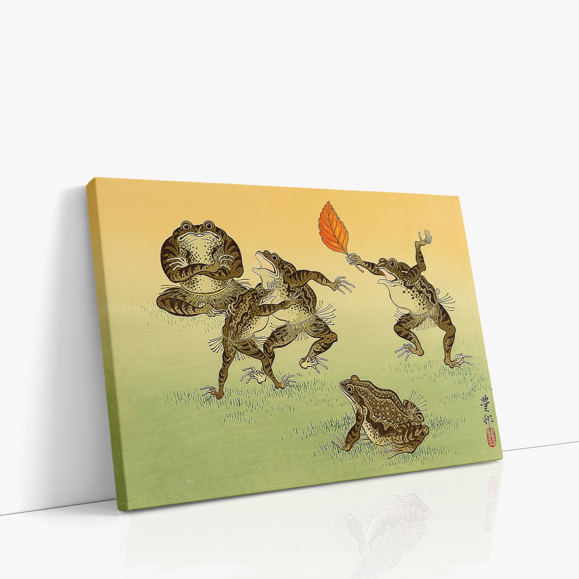 Crapauds lutteurs de sumo