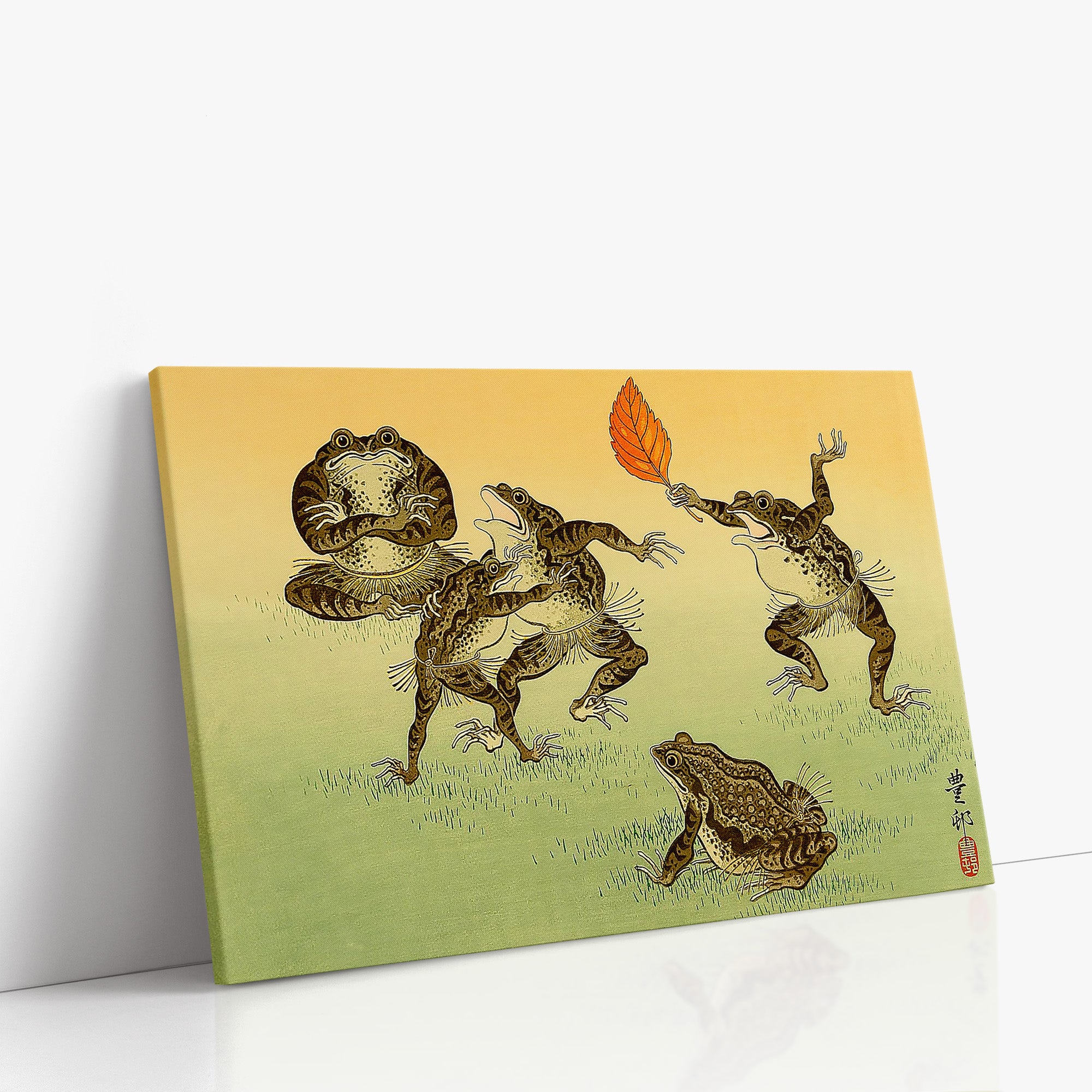Crapauds lutteurs de sumo