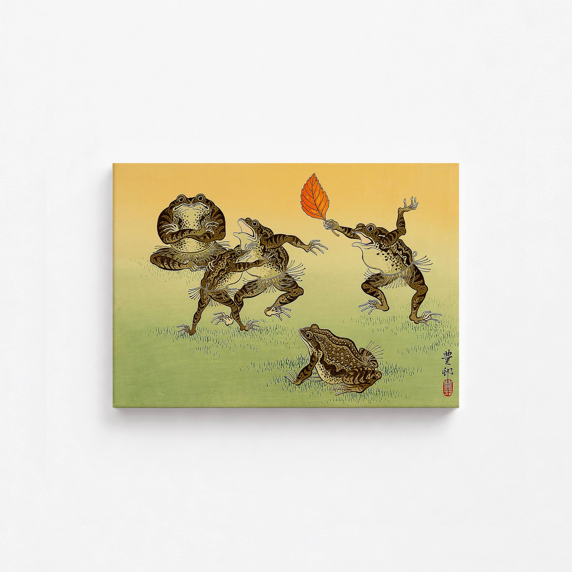 Crapauds lutteurs de sumo