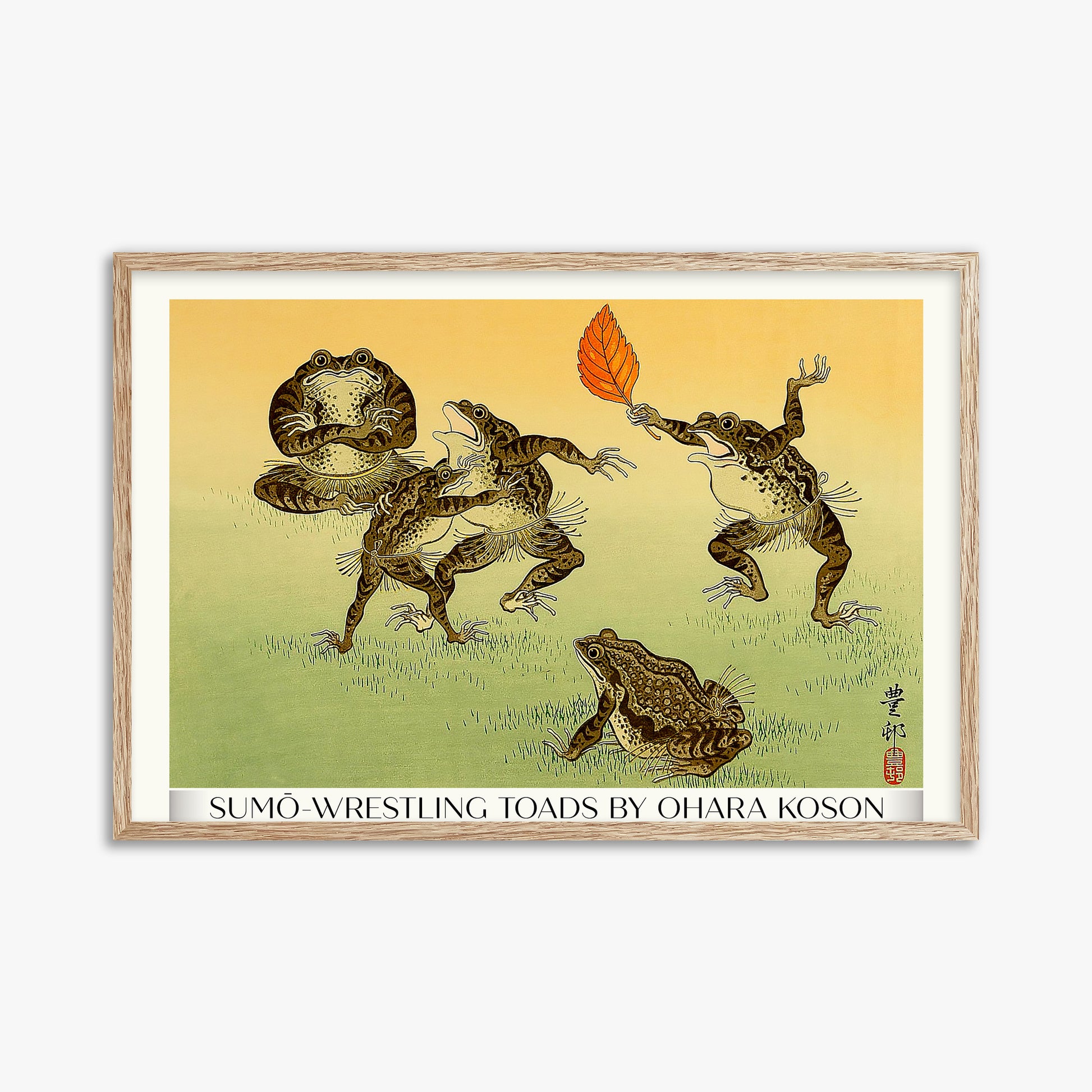 Ohara Koson: Sumo-wrestling Toads - Gallery-Style, 61x91cm Framed Art Reproduction With Raw Oak Frame