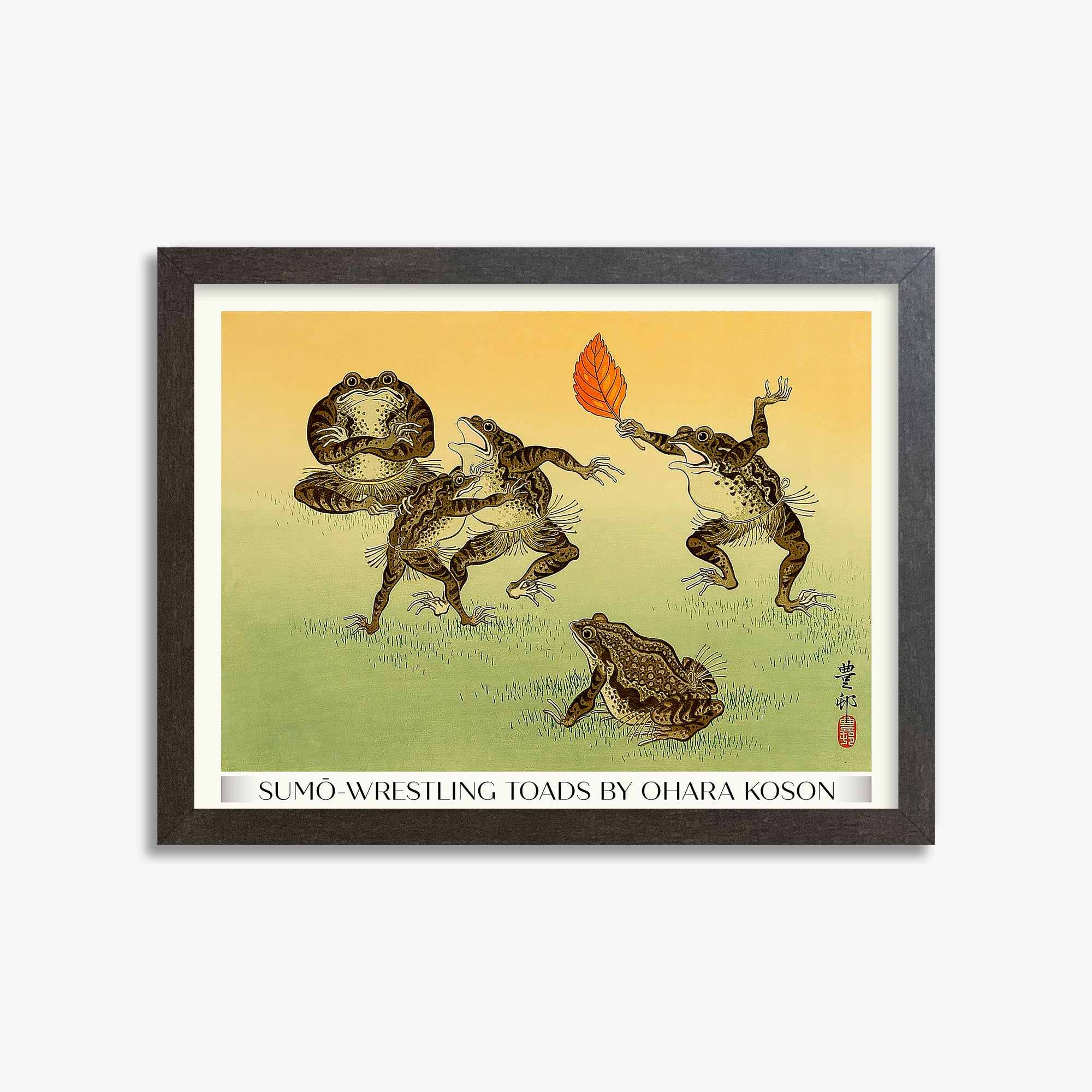 Rospi lottatori di sumo - Gallery-Style