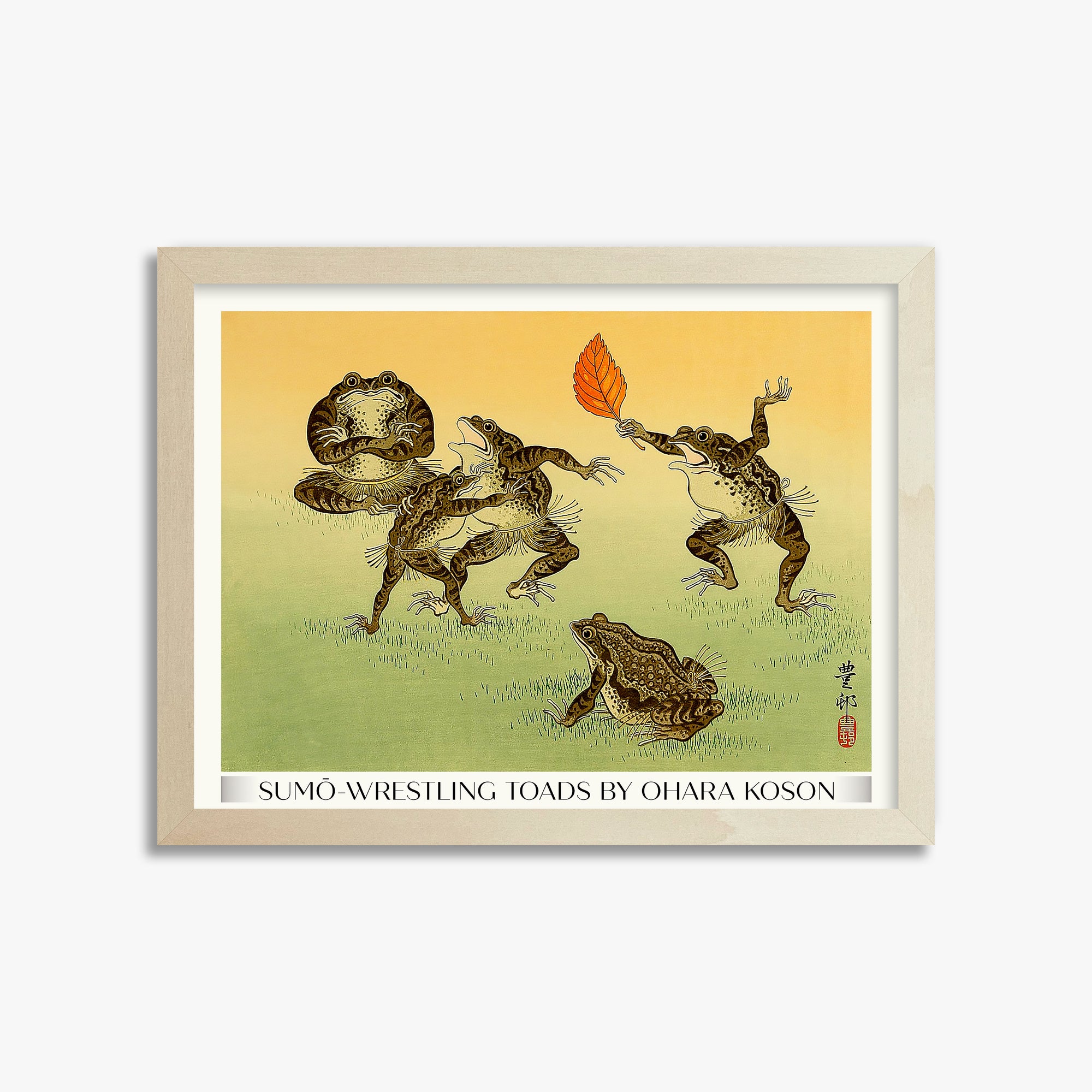 Rospi lottatori di sumo - Gallery-Style