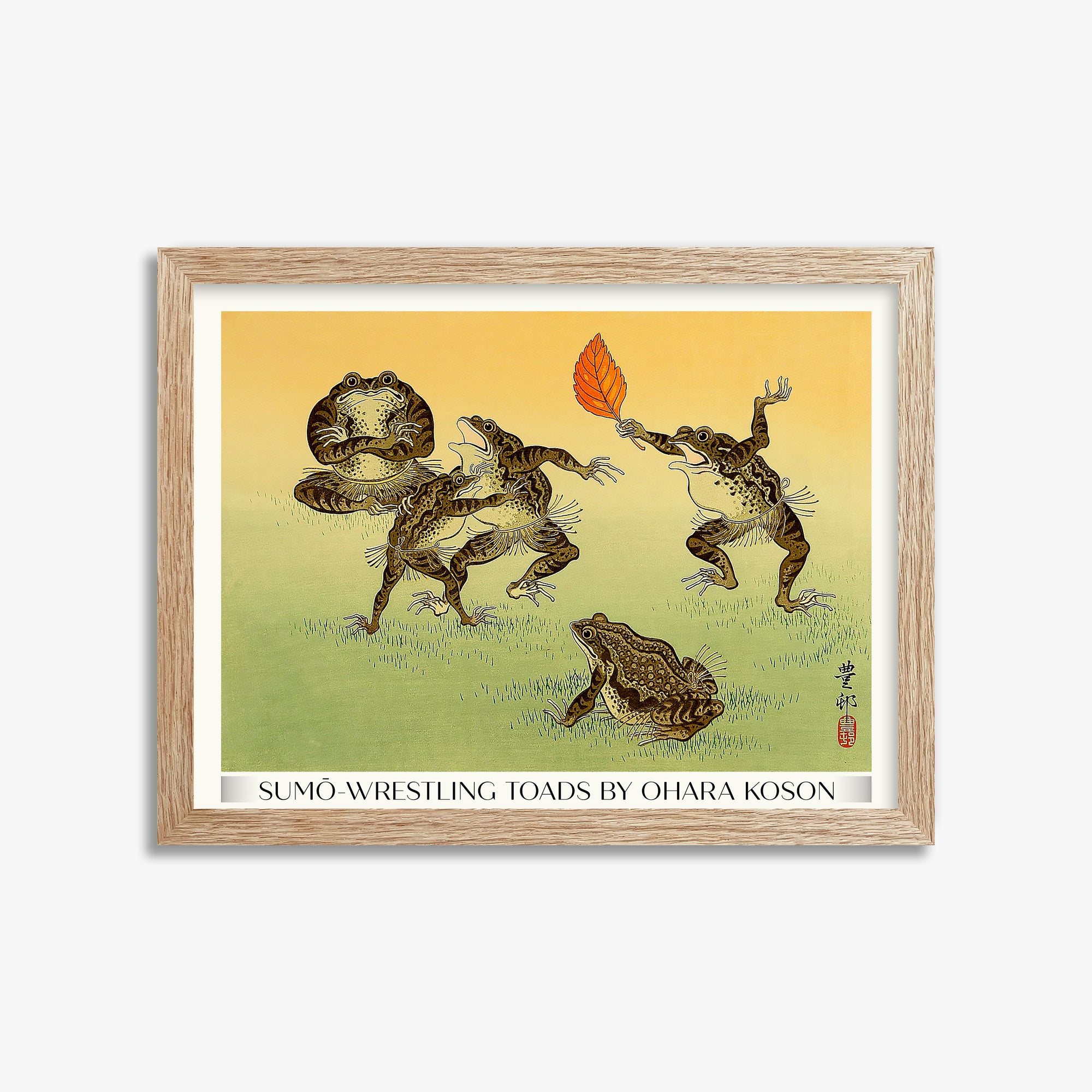 Rospi lottatori di sumo - Gallery-Style
