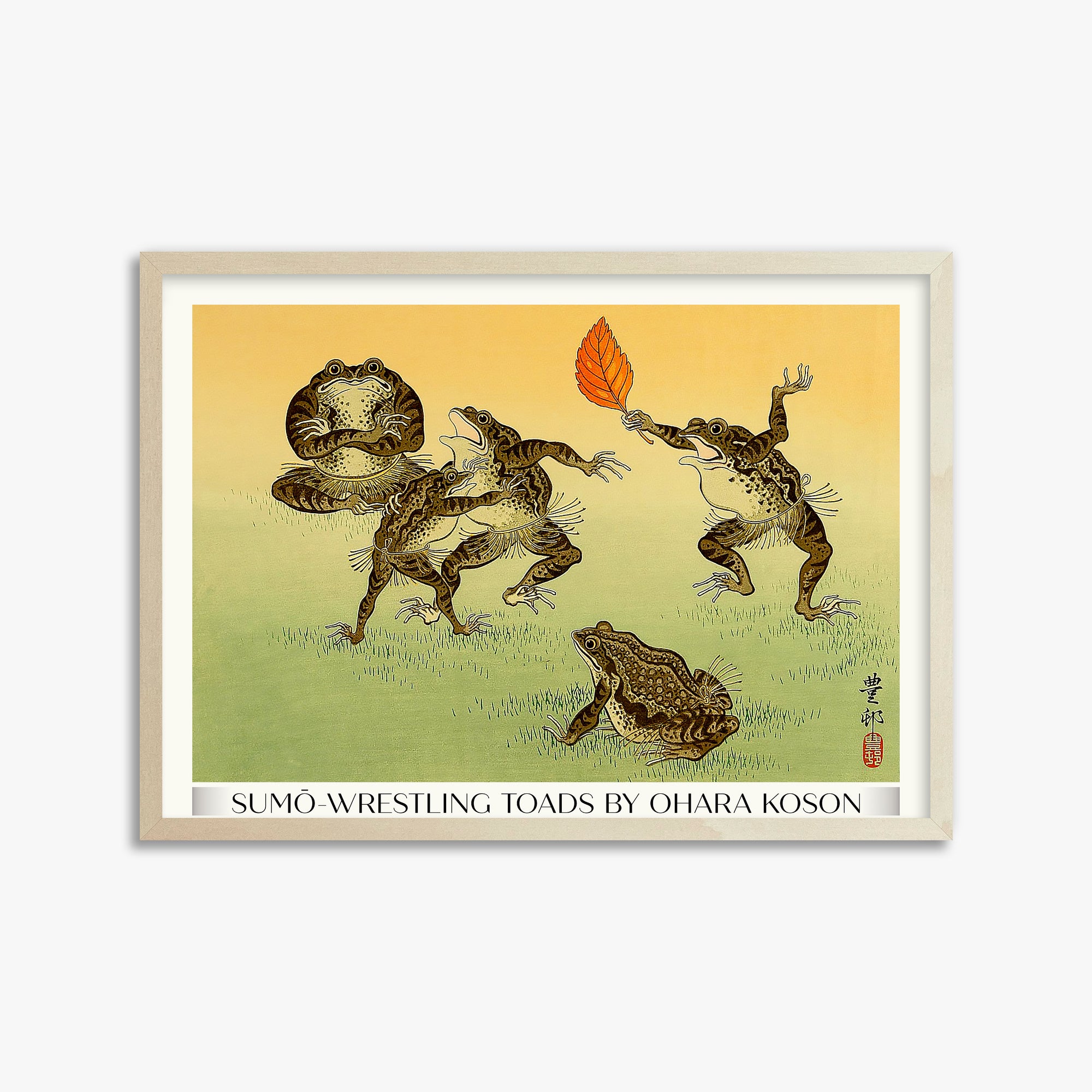 Rospi lottatori di sumo - Gallery-Style