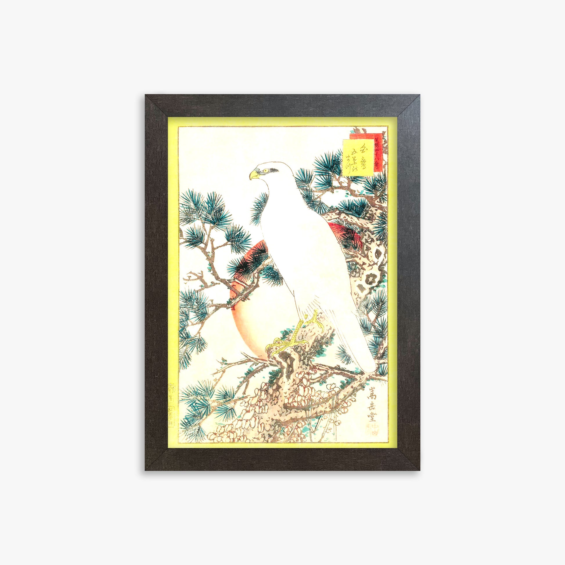 Nakayama Sûgakudô: White Falcon and Five-needled Pine, 21x30cm Framed Art Reproduction With Espresso Frame