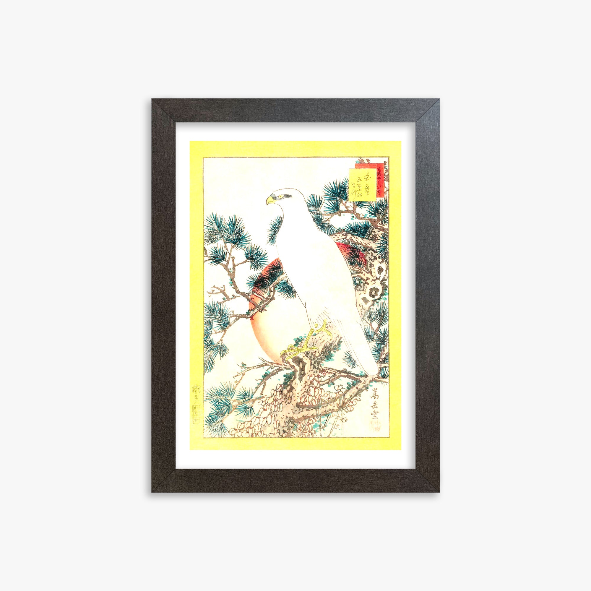 Nakayama Sûgakudô: White Falcon and Five-needled Pine, 21x30cm Framed Art Reproduction With Espresso Frame