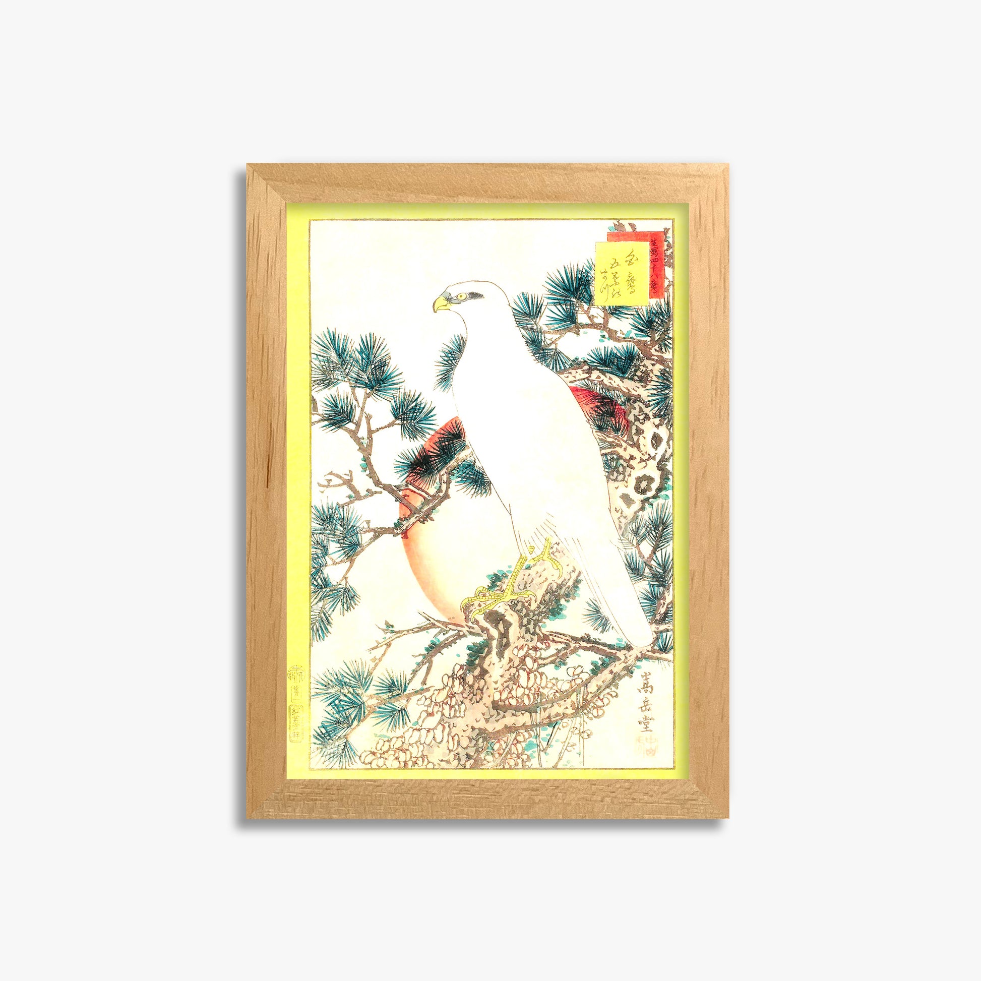 Nakayama Sûgakudô: White Falcon and Five-needled Pine, 21x30cm Oak Framed Art Reproduction